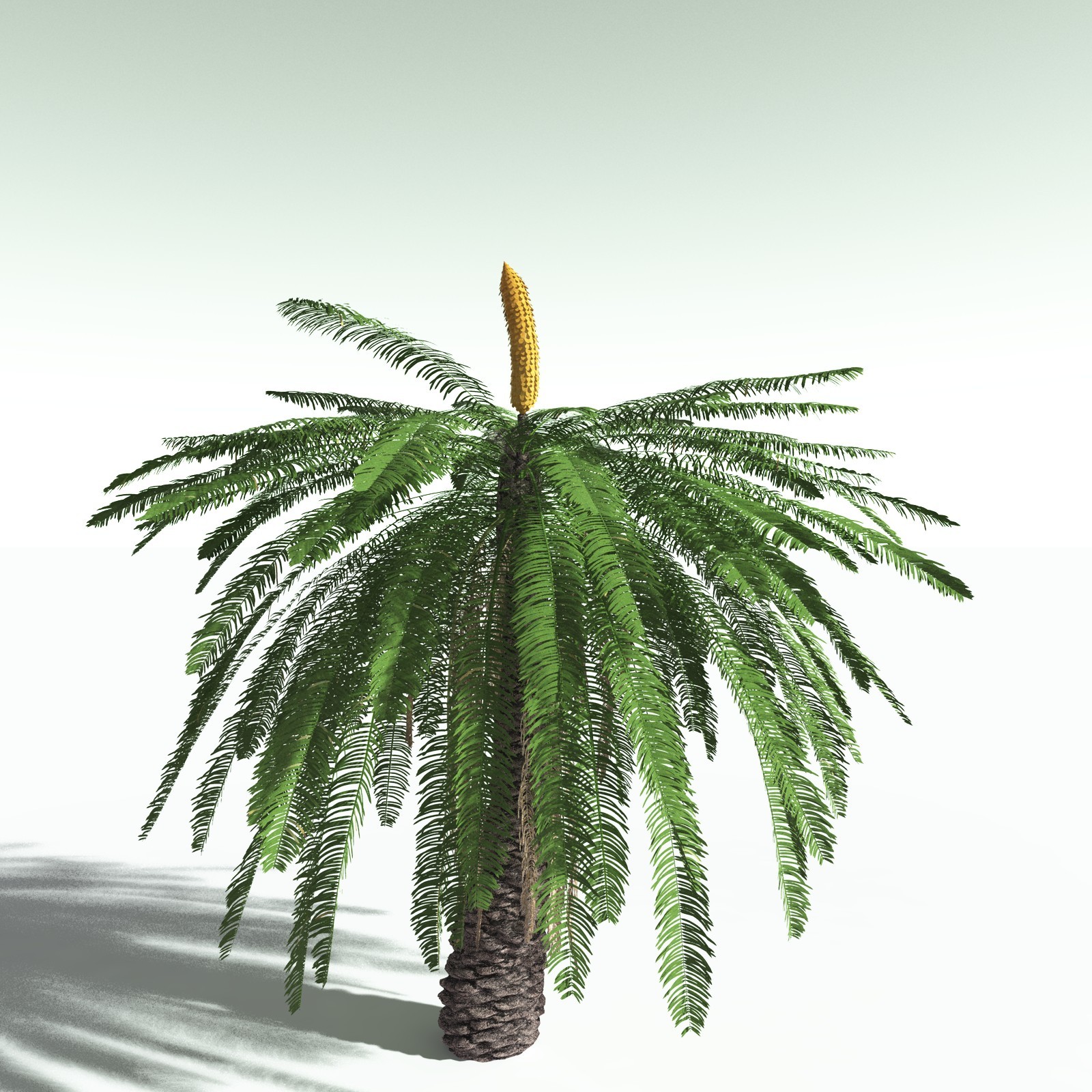 EVERYPlant Permian Biome for Poser by N/A