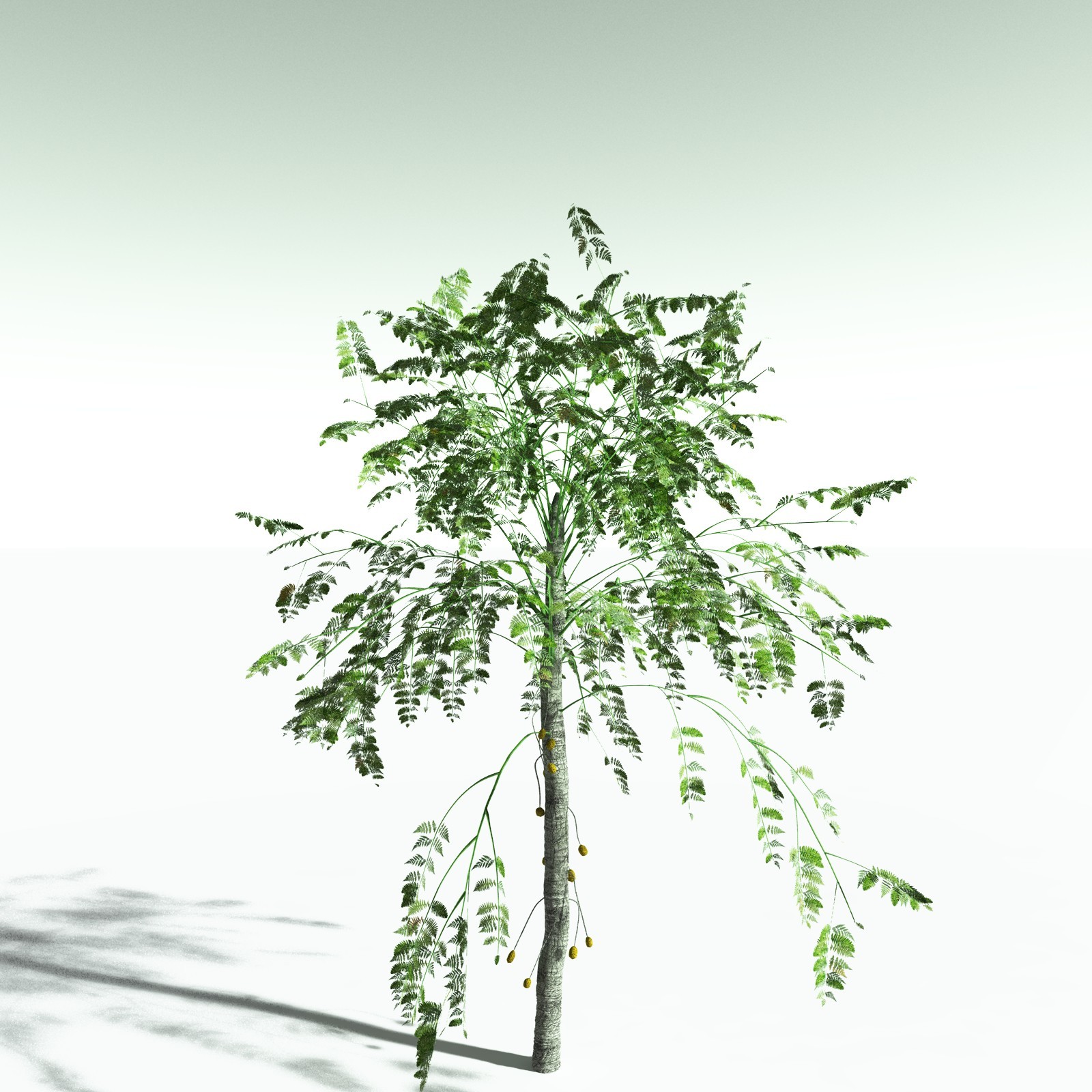 EVERYPlant Permian Biome for Poser by N/A