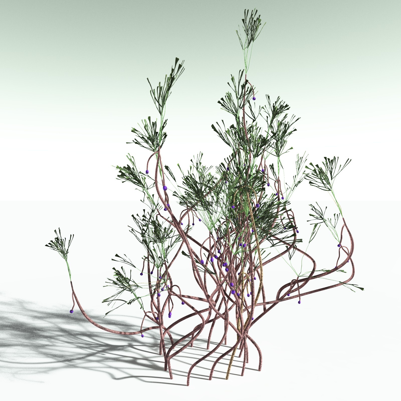 EVERYPlant Permian Biome for Poser by N/A
