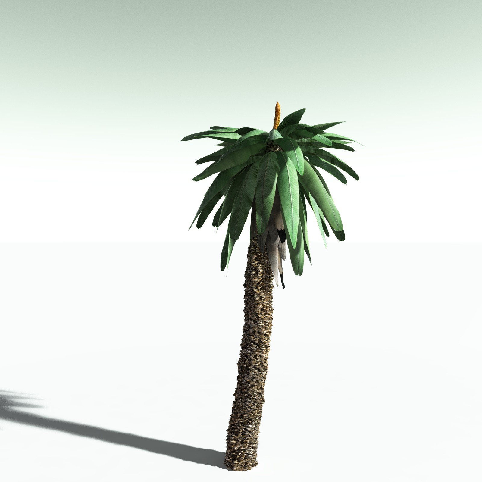 EVERYPlant Permian Biome for Poser by N/A