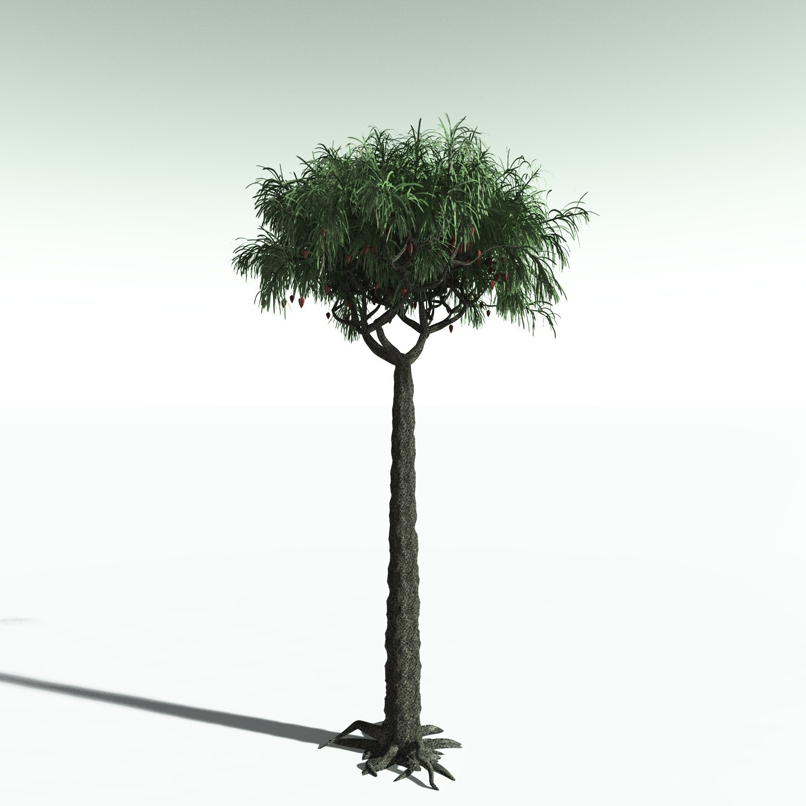 EVERYPlant Permian Biome for Poser by N/A