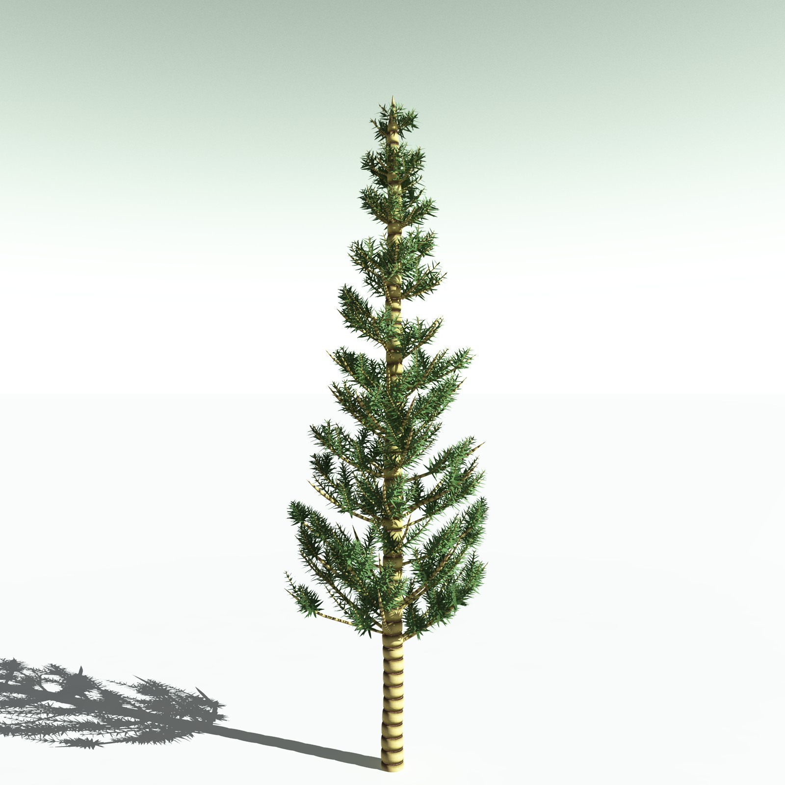 EVERYPlant Permian Biome for Poser by N/A