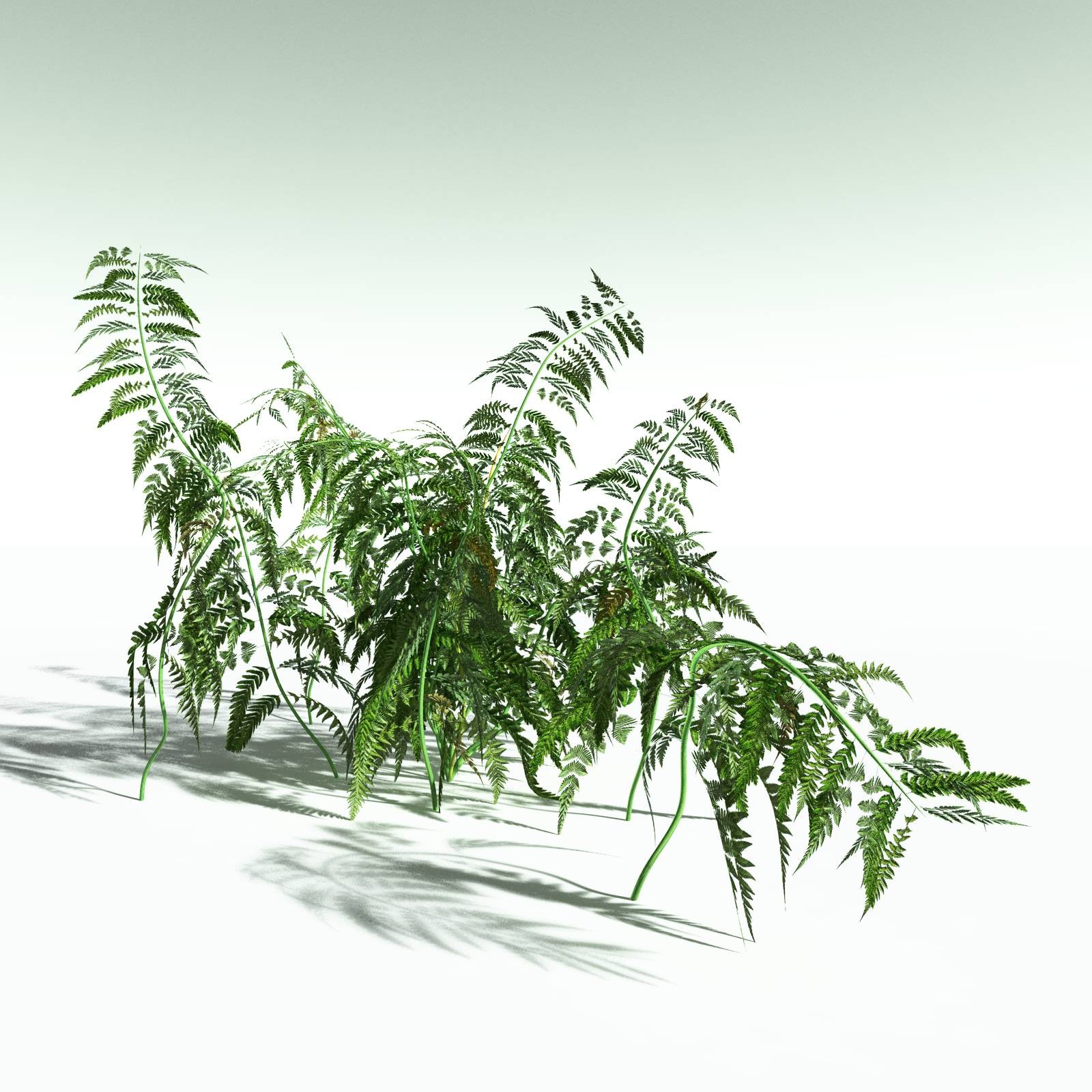 EVERYPlant Permian Biome for Poser by N/A