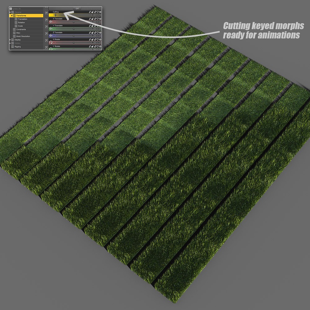 Gardening Tools for Daz Studio by N/A