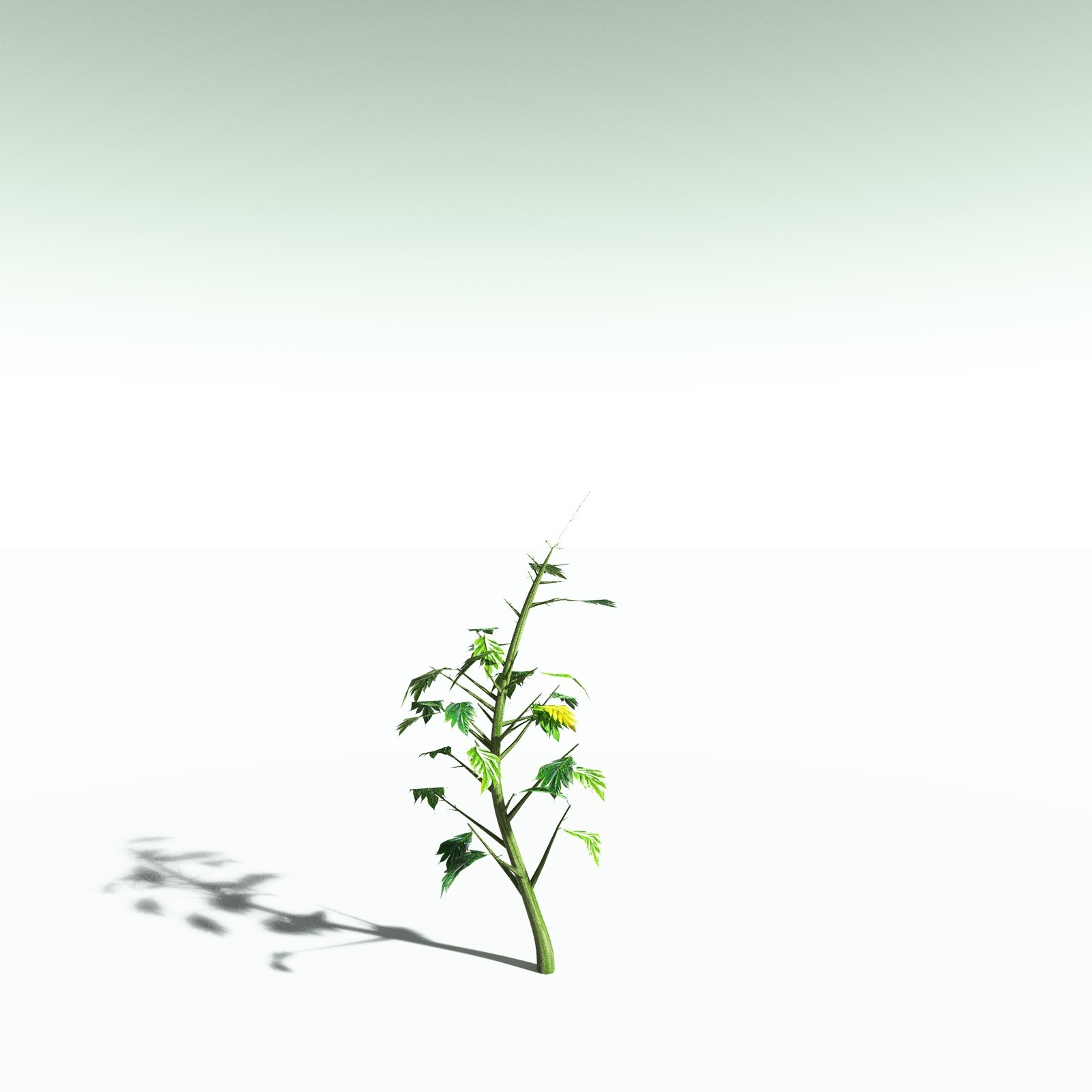 EVERYPlant Breadnut for Poser by N/A