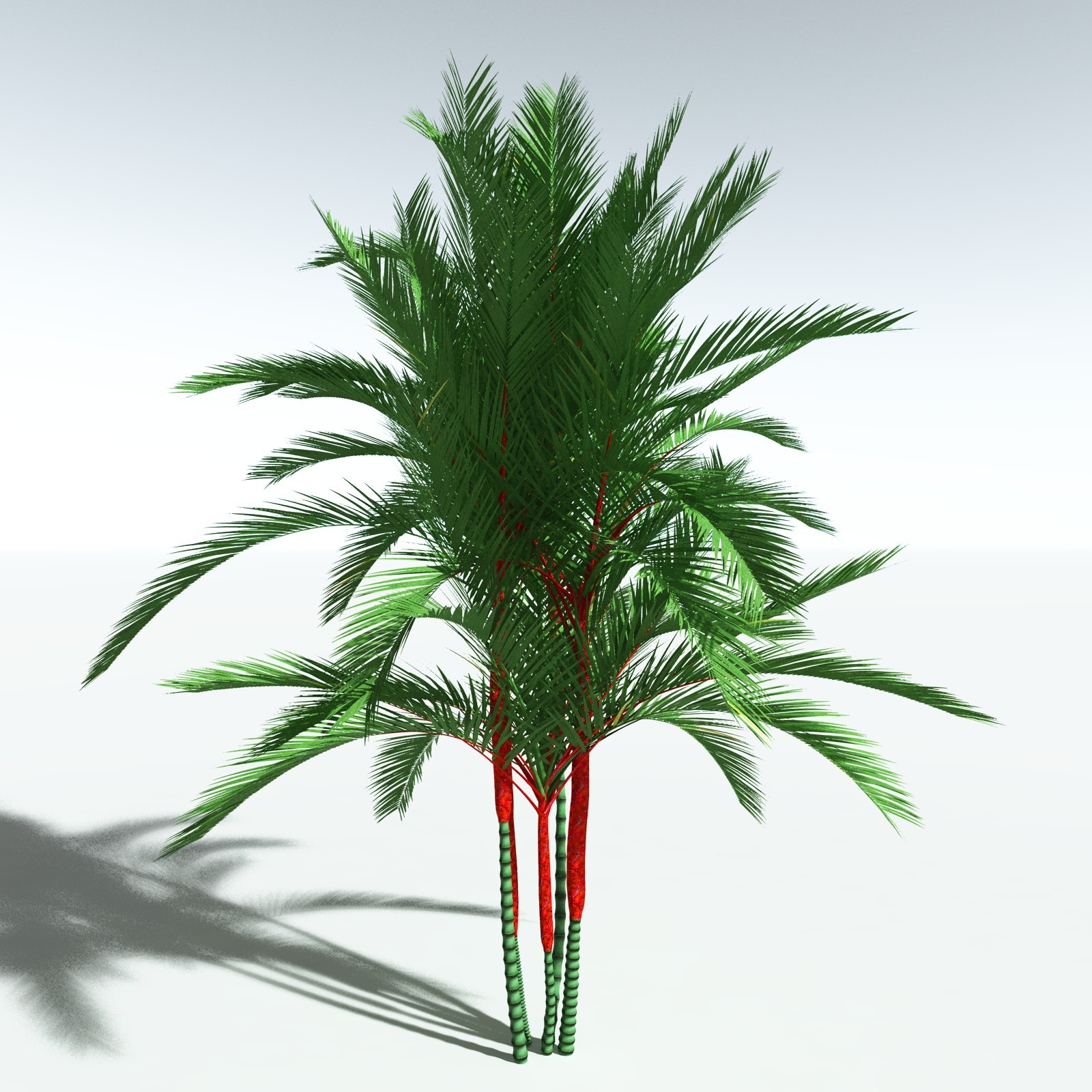 EVERYPlant Lipstick Palm for Vue by N/A