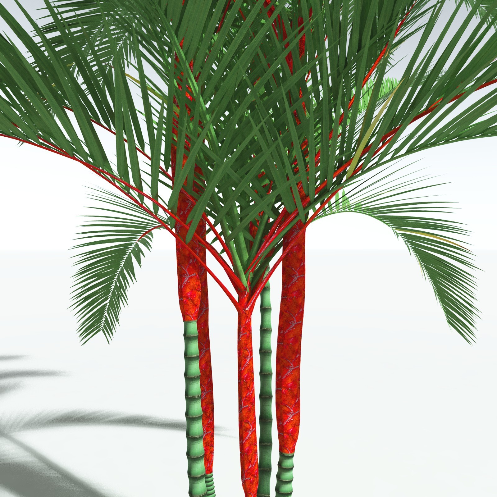 EVERYPlant Lipstick Palm for Vue by N/A