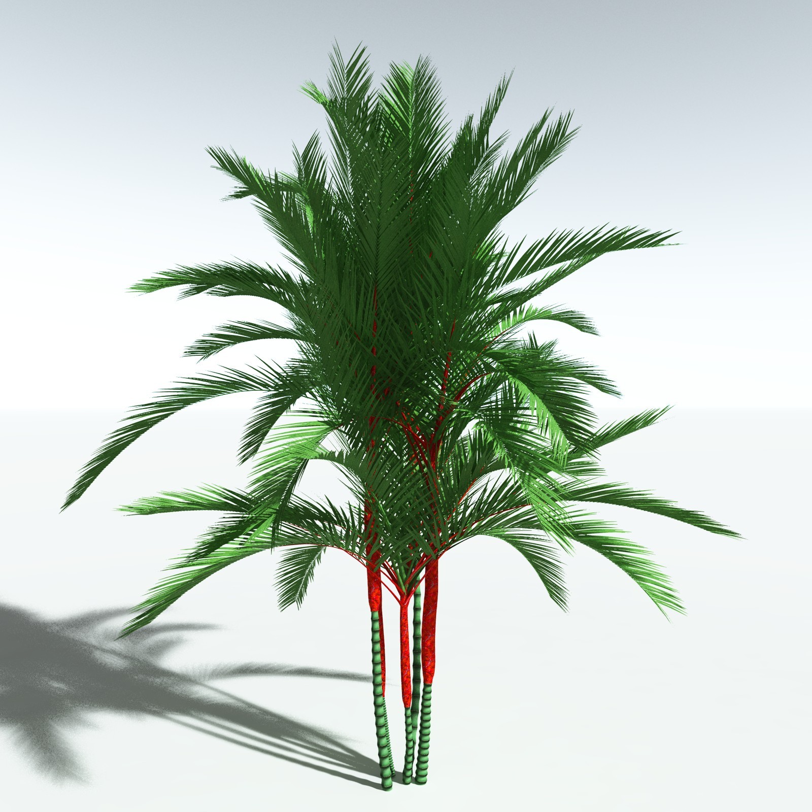 EVERYPlant Lipstick Palm for Vue by N/A