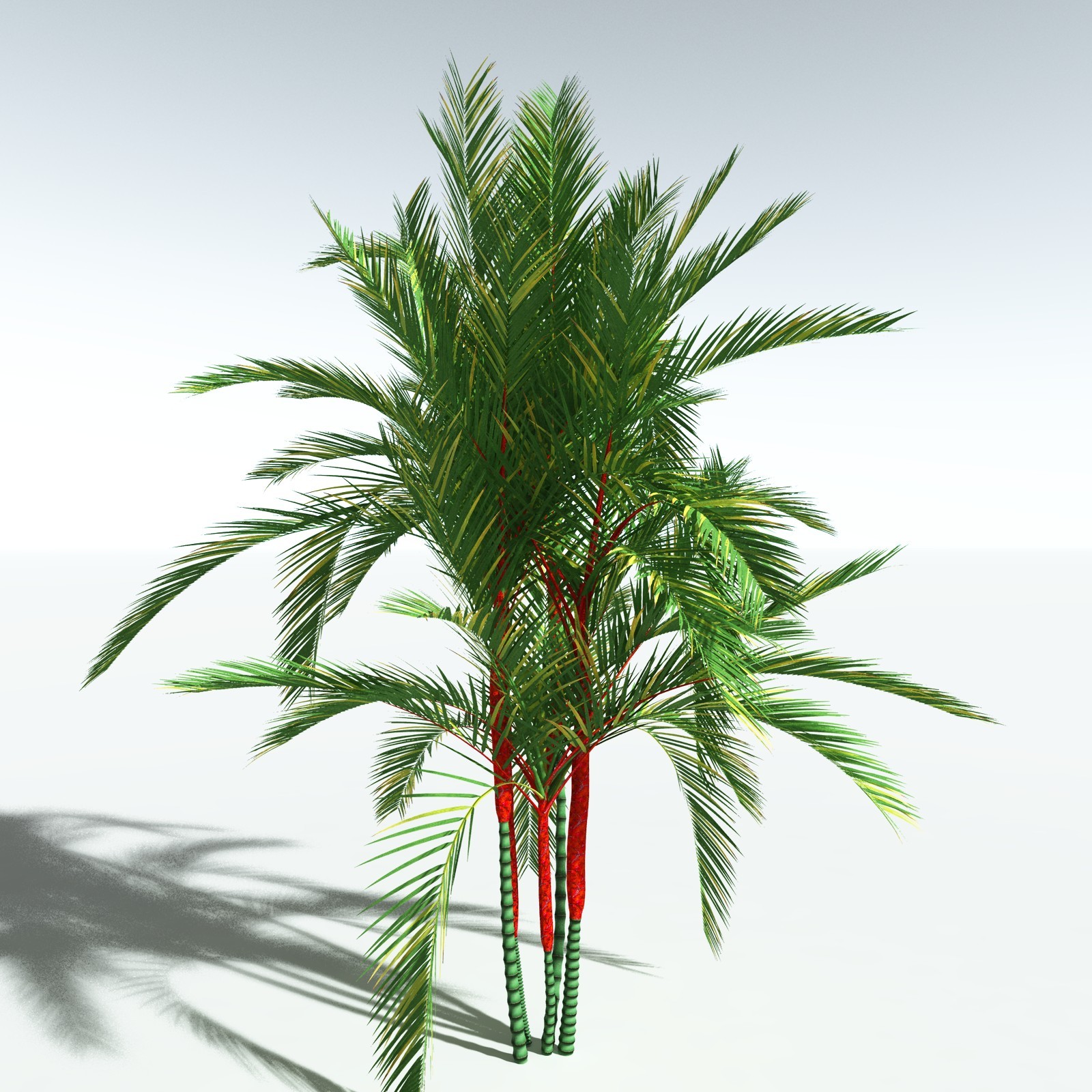EVERYPlant Lipstick Palm for Vue by N/A