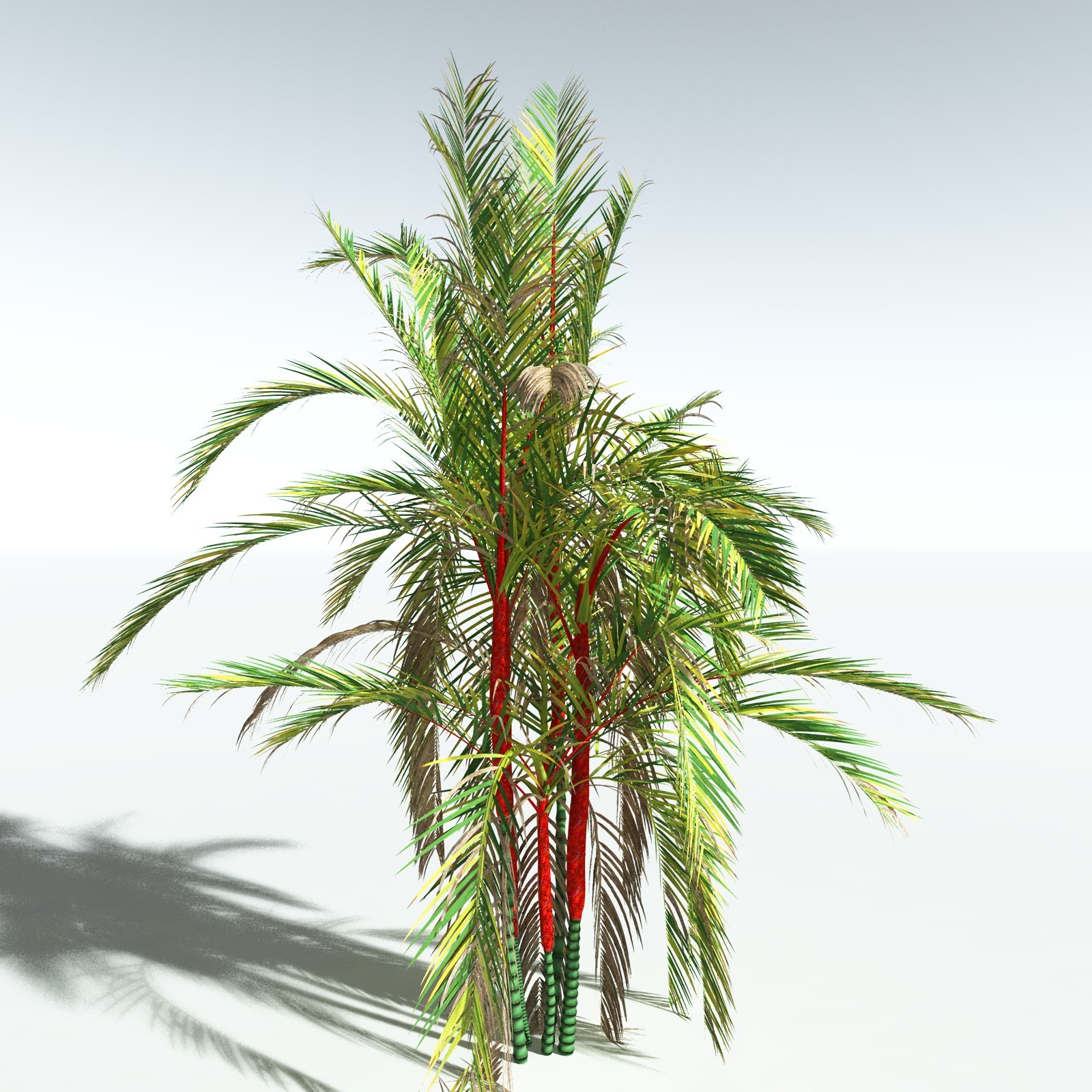 EVERYPlant Lipstick Palm for Vue by N/A