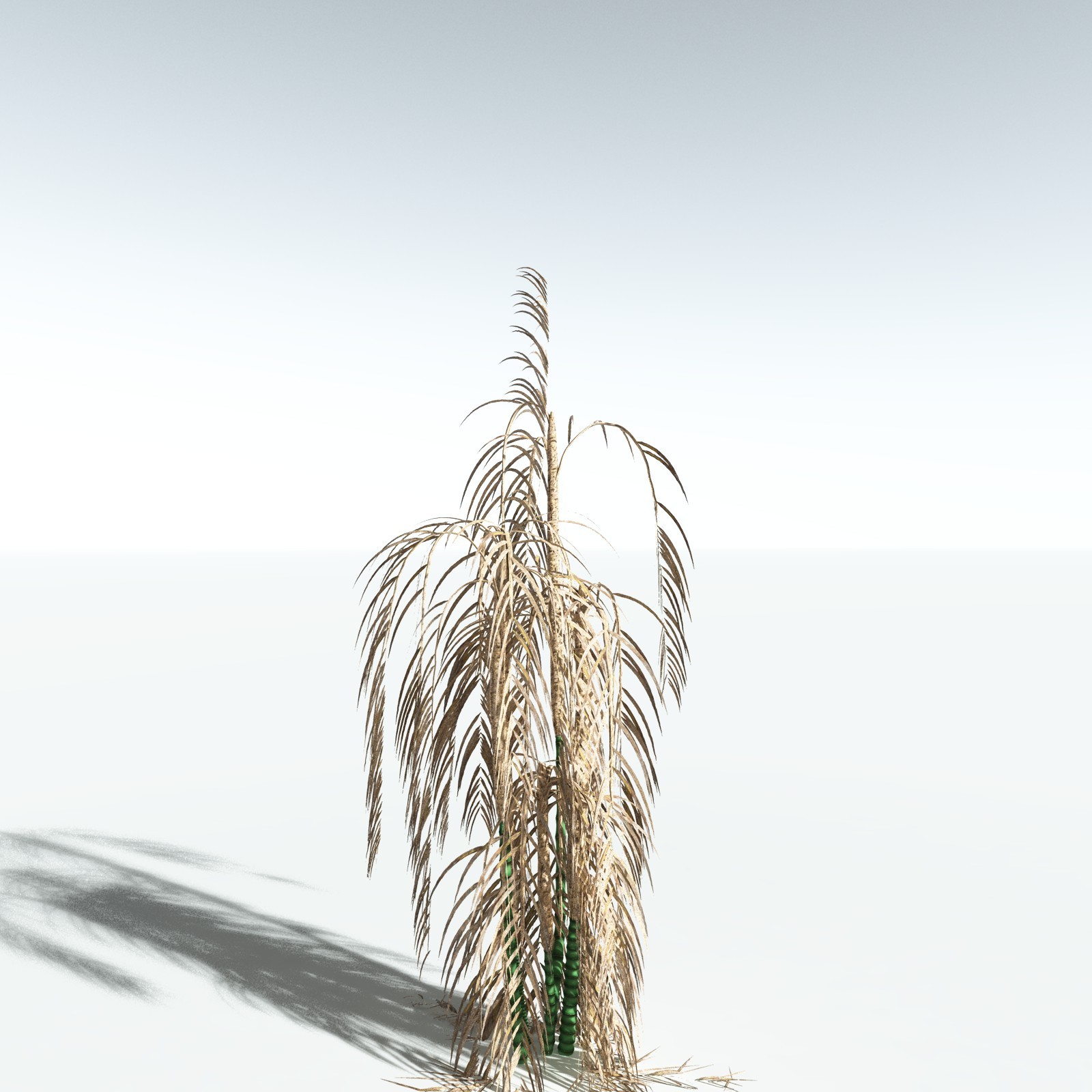 EVERYPlant Lipstick Palm for Vue by N/A