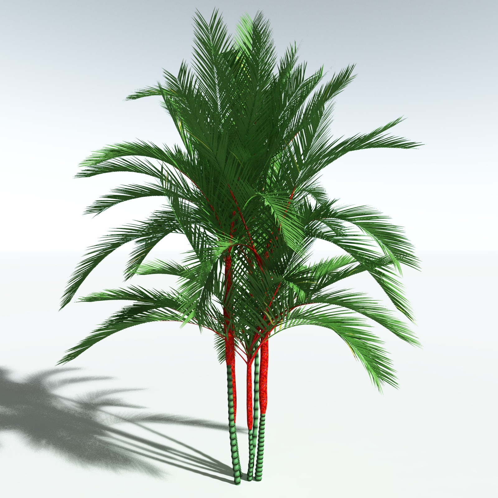 EVERYPlant Lipstick Palm for Vue by N/A