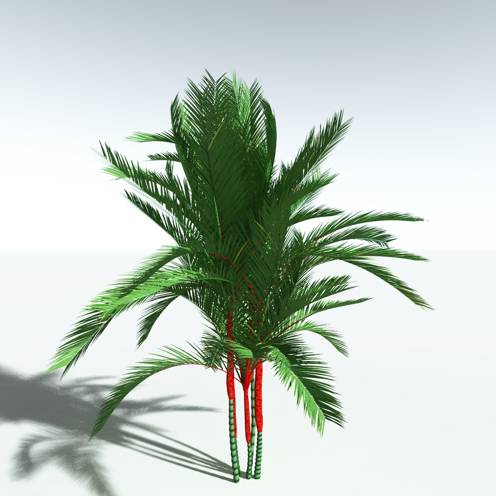 EVERYPlant Lipstick Palm for Vue by N/A