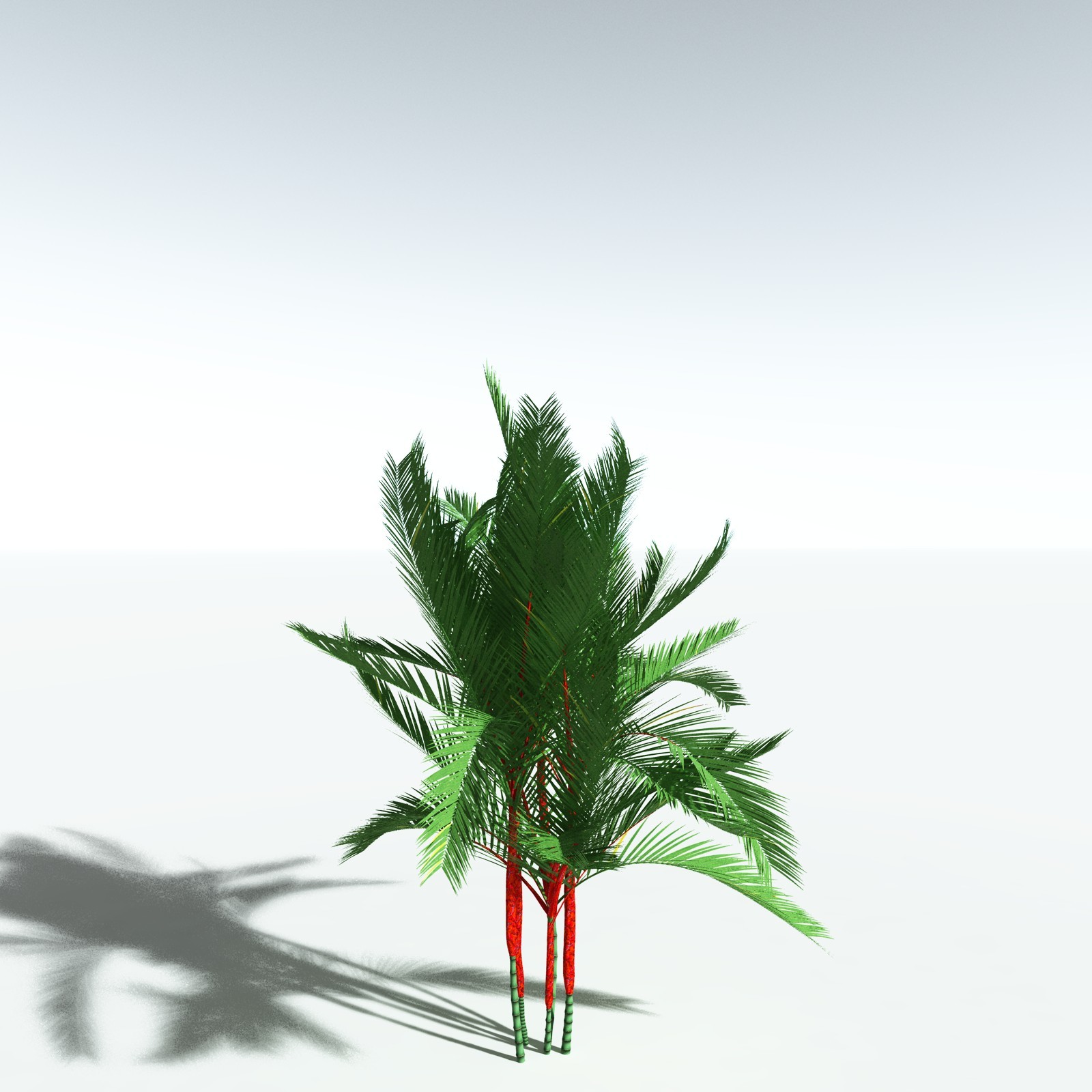 EVERYPlant Lipstick Palm for Vue by N/A