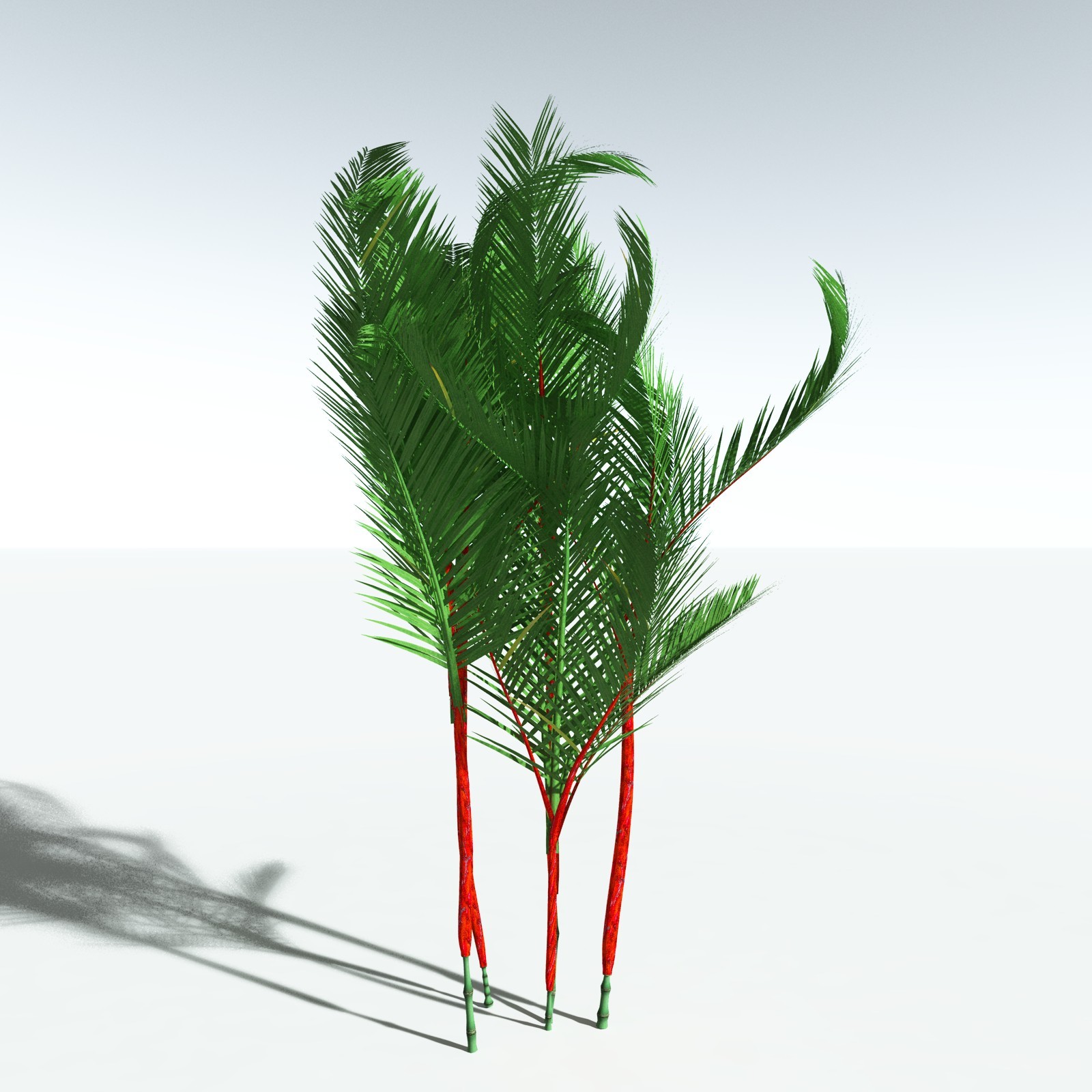 EVERYPlant Lipstick Palm for Vue by N/A