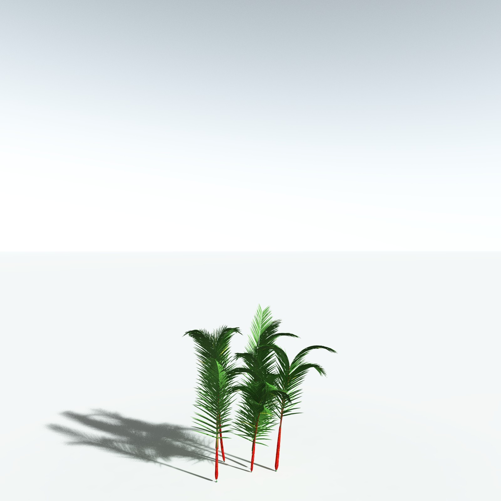 EVERYPlant Lipstick Palm for Vue by N/A