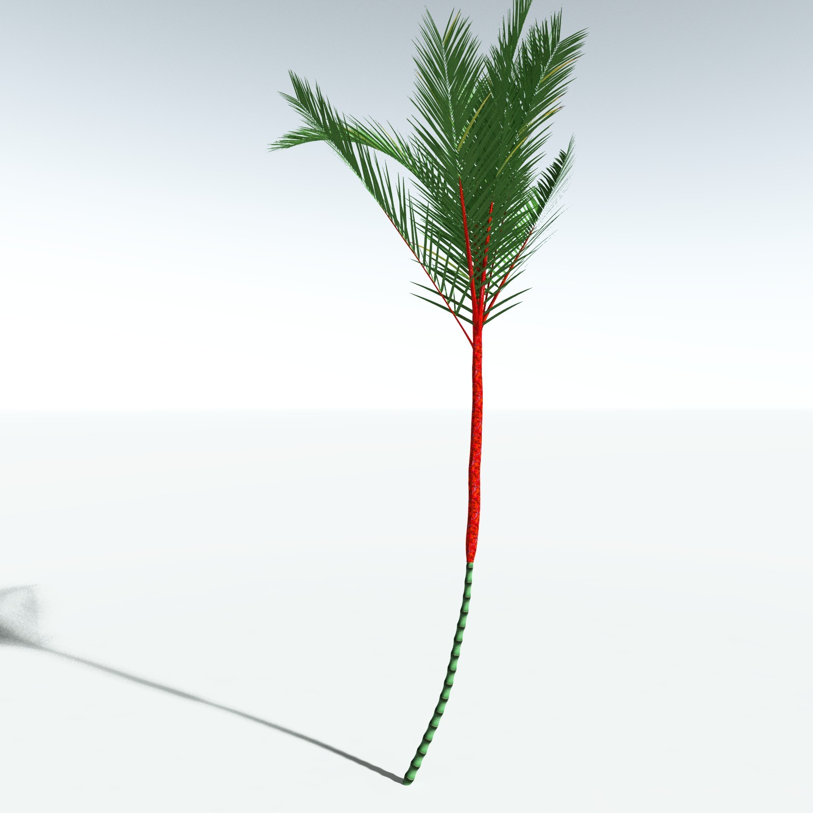 EVERYPlant Lipstick Palm for Vue by N/A