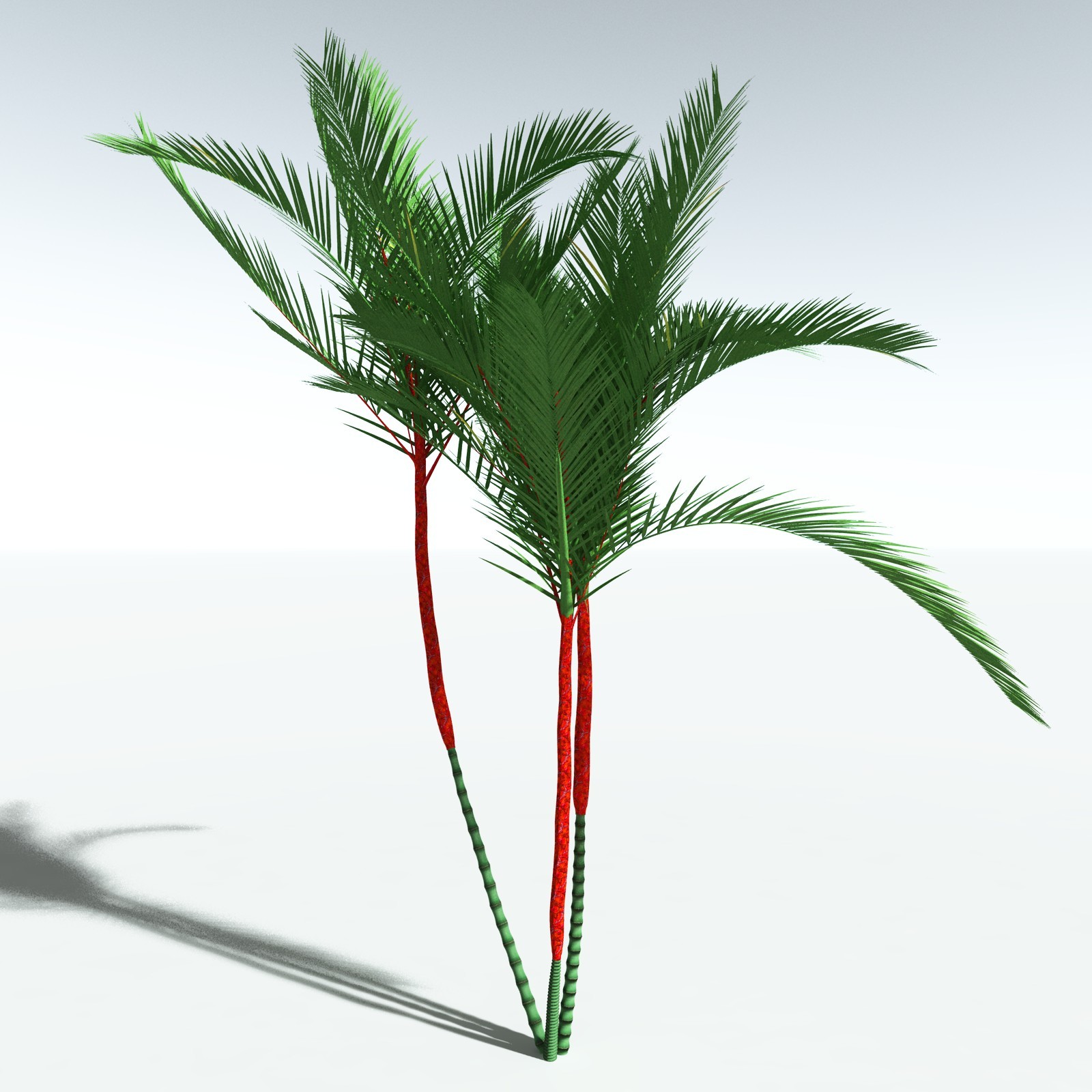 EVERYPlant Lipstick Palm for Vue by N/A