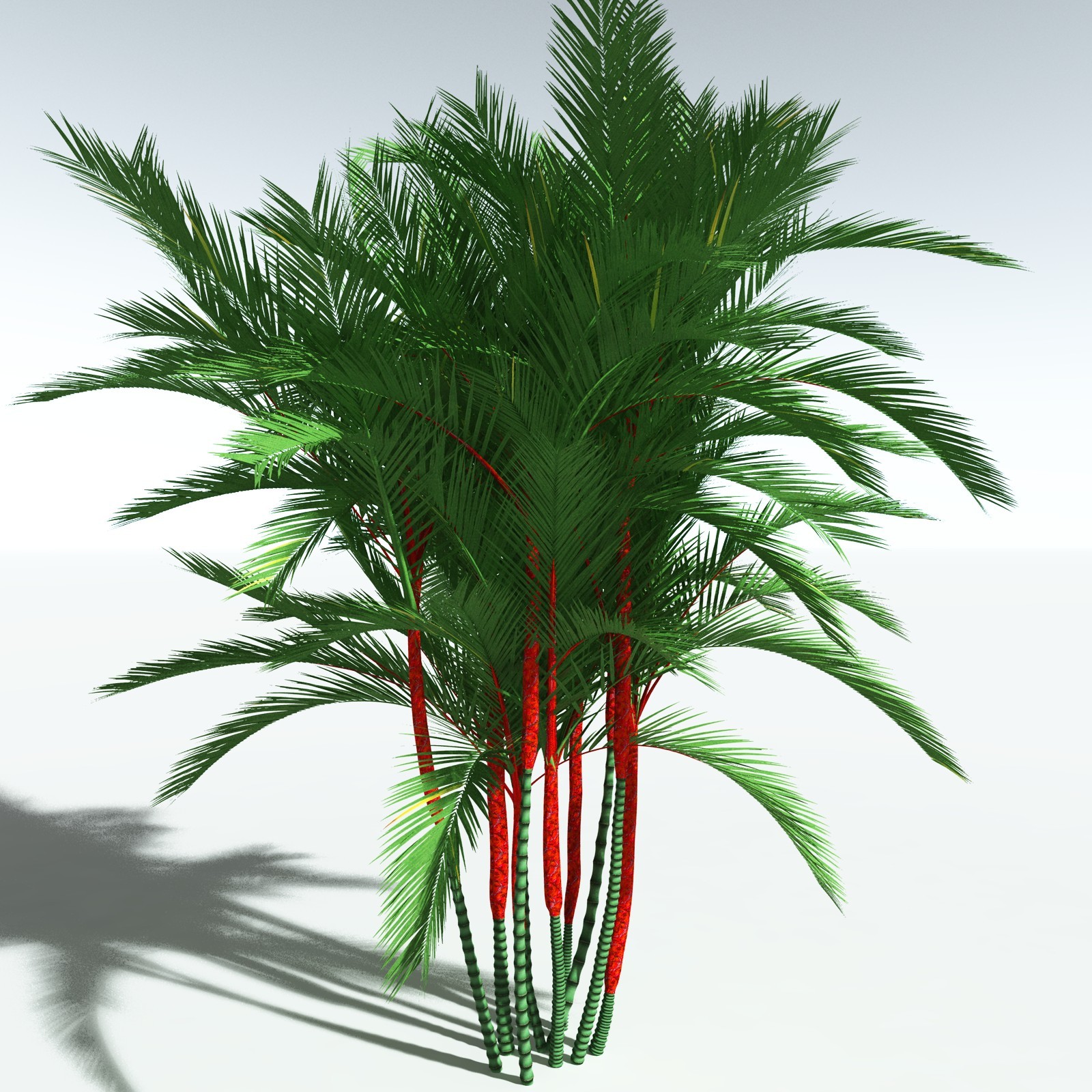 EVERYPlant Lipstick Palm for Vue by N/A
