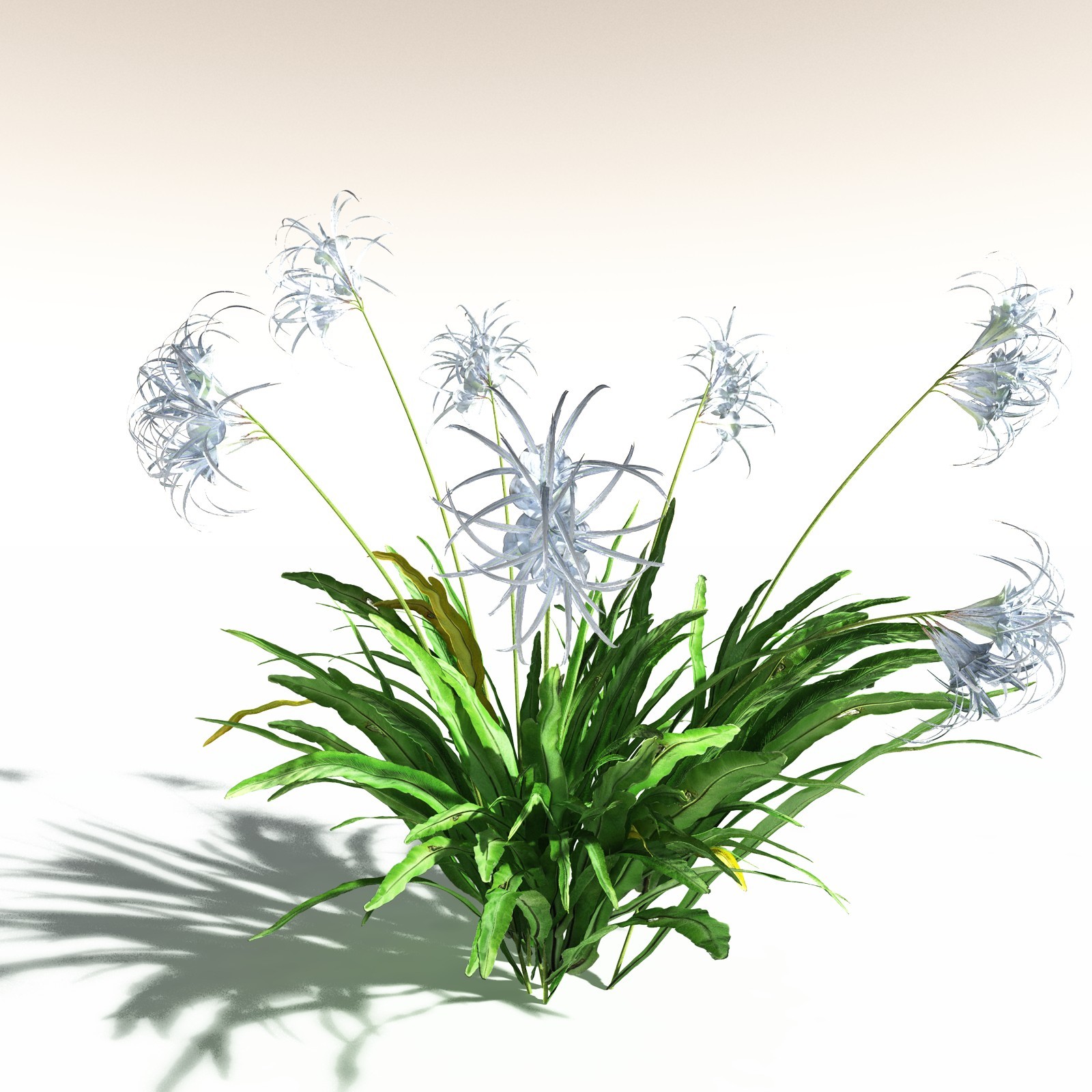 EVERYPlant Poison Bulb for Daz by N/A