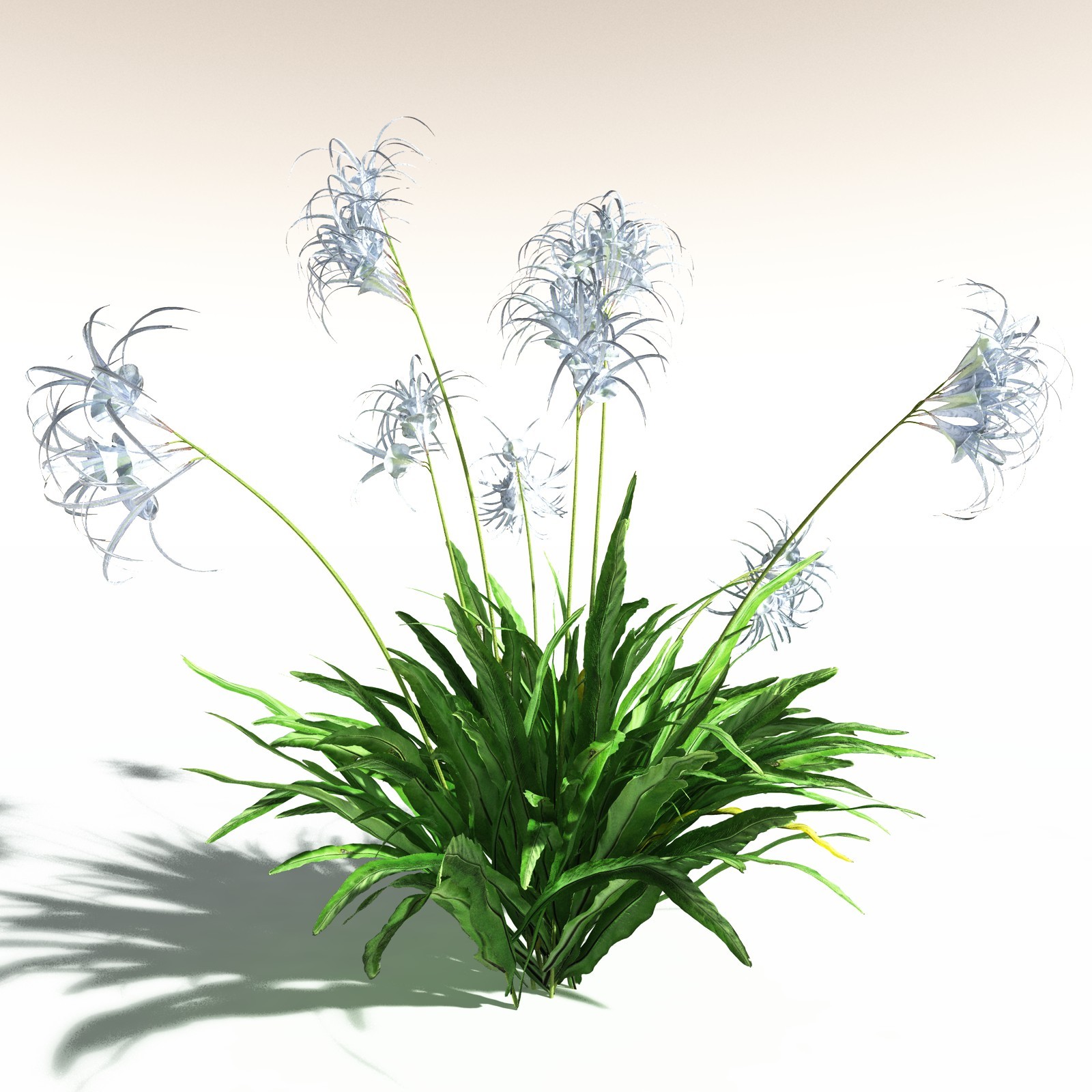 EVERYPlant Poison Bulb for Daz by N/A