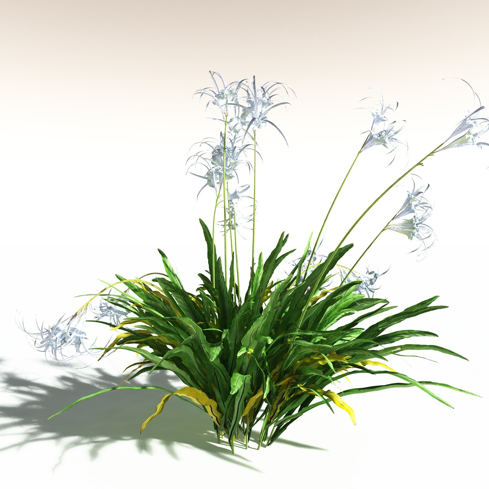 EVERYPlant Poison Bulb for Daz by N/A