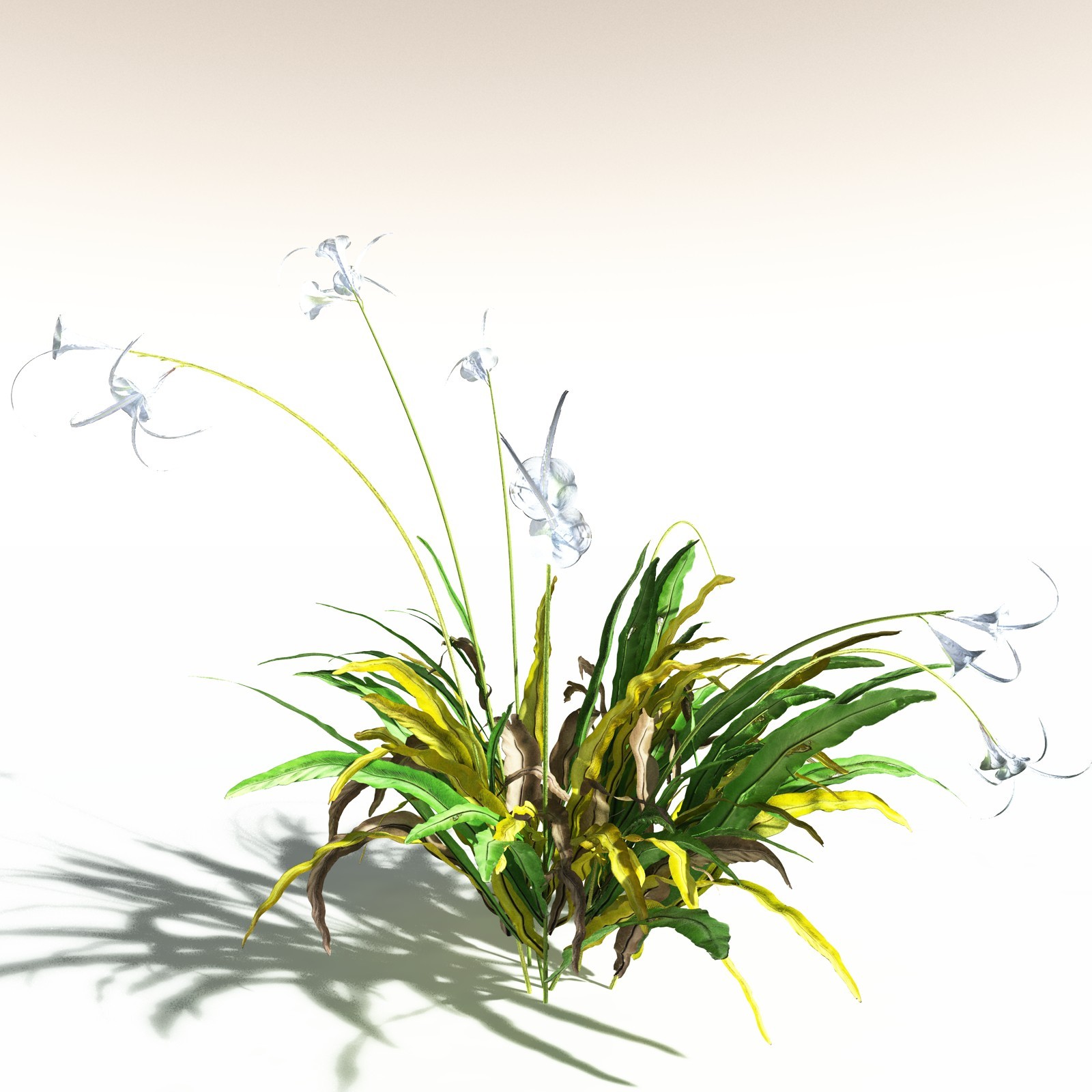 EVERYPlant Poison Bulb for Daz by N/A