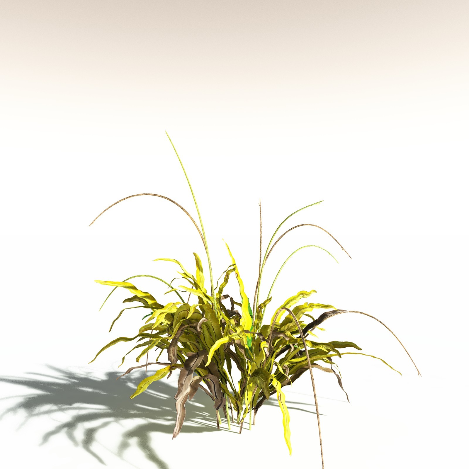 EVERYPlant Poison Bulb for Daz by N/A