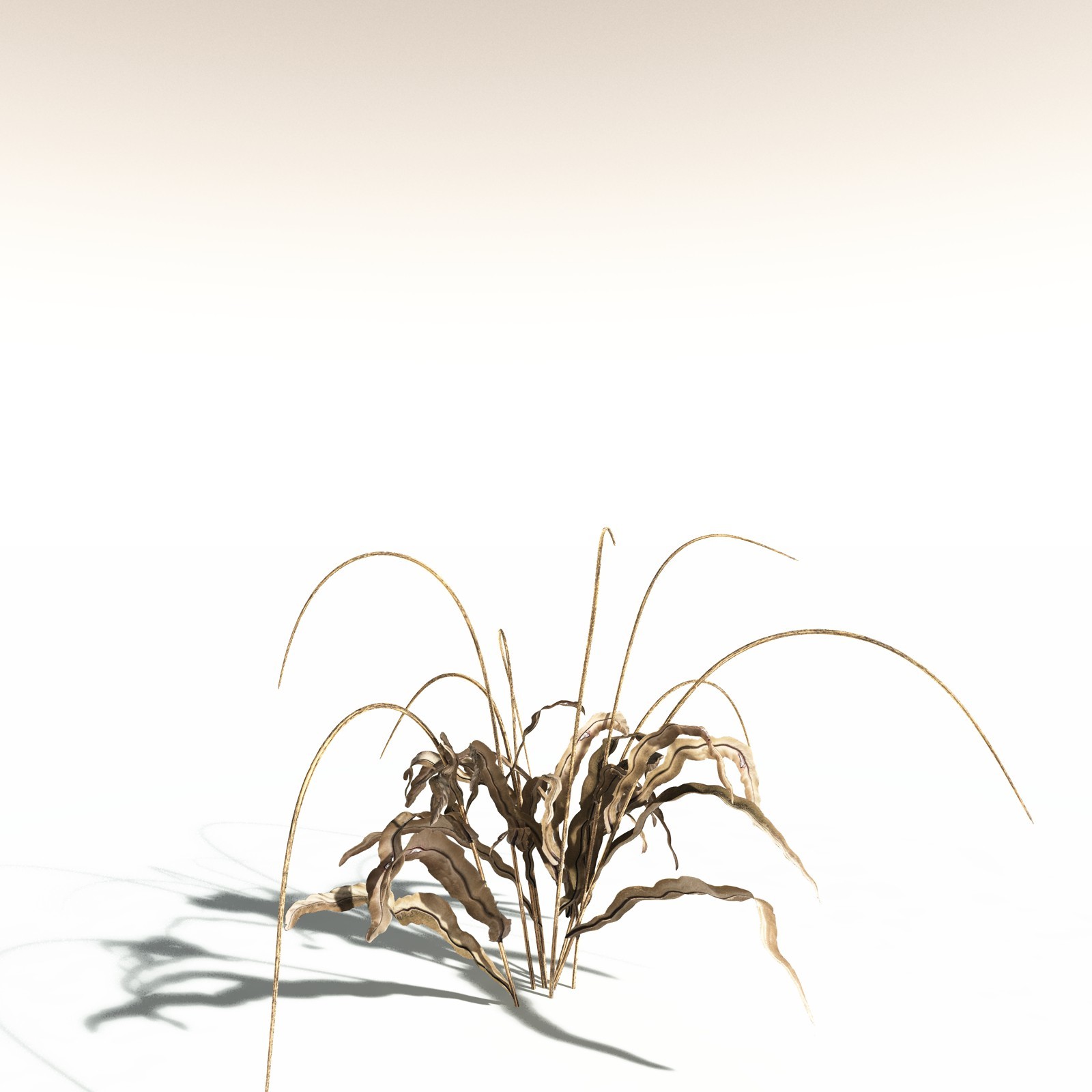 EVERYPlant Poison Bulb for Daz by N/A