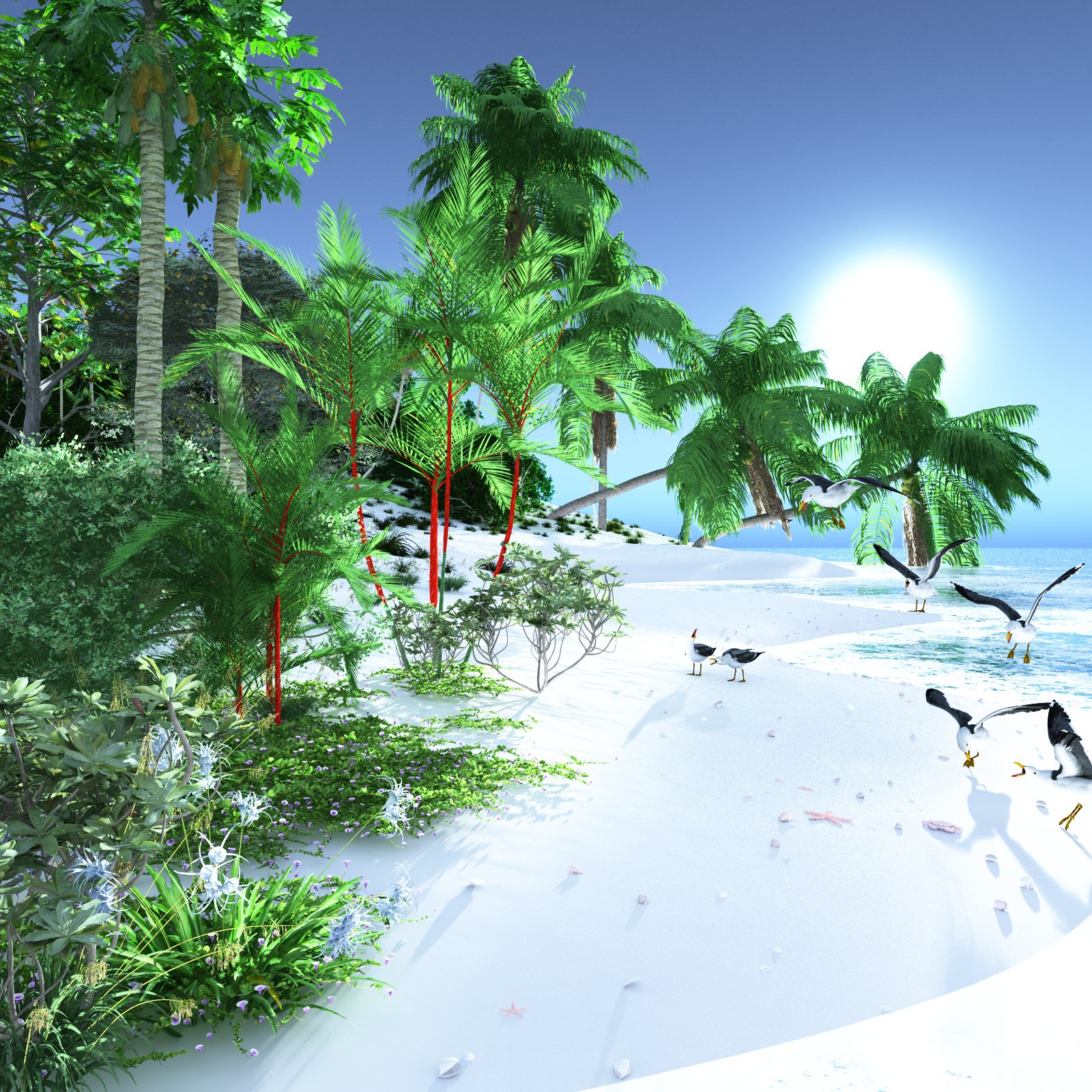 EVERYPlant Tropical Beach Biome for Daz by N/A