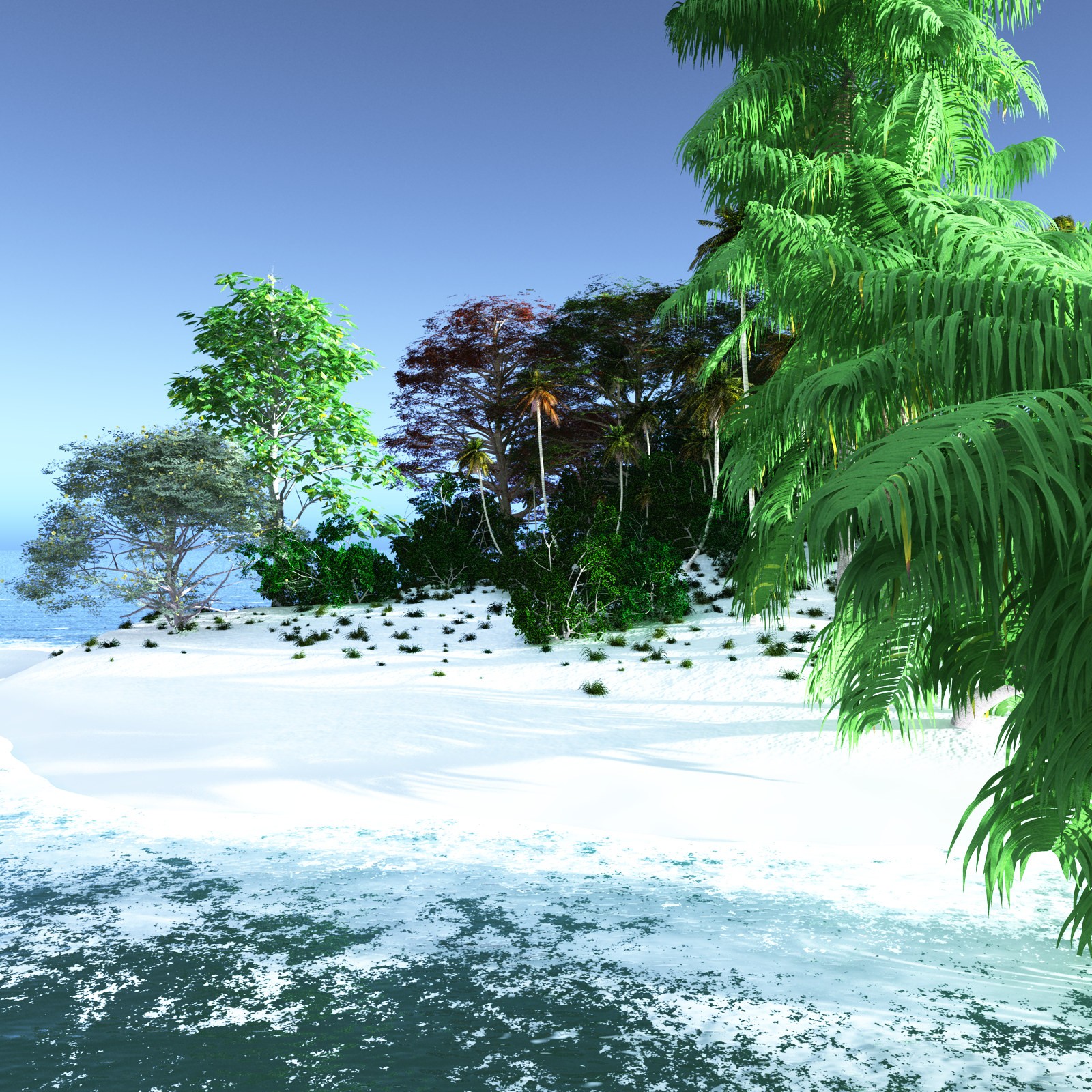 EVERYPlant Tropical Beach Biome for Daz by N/A