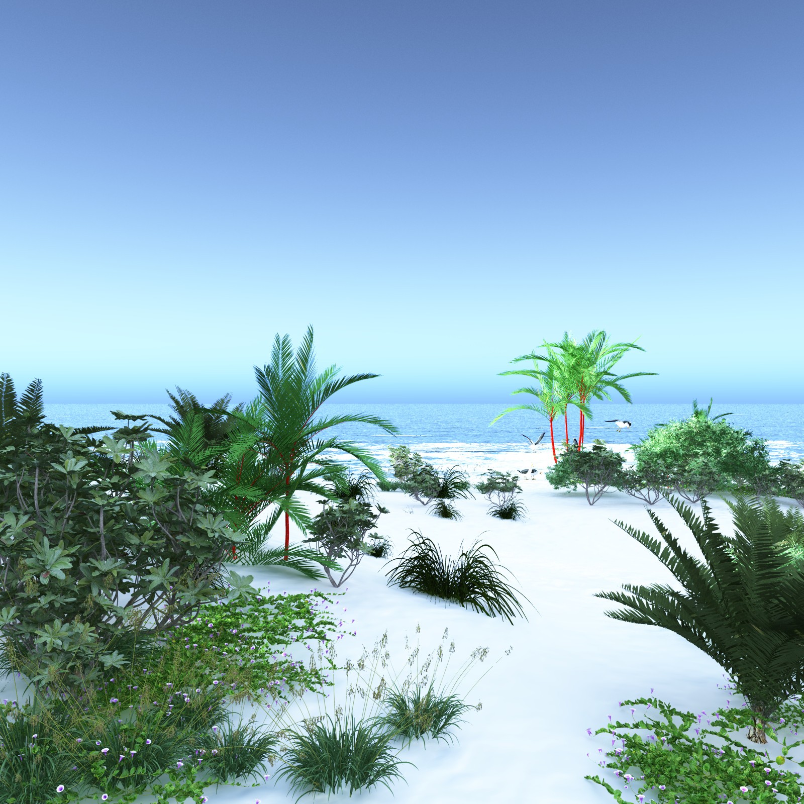 EVERYPlant Tropical Beach Biome for Daz by N/A