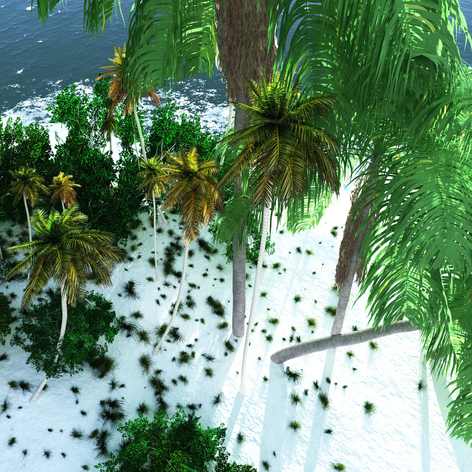 EVERYPlant Tropical Beach Biome for Daz by N/A