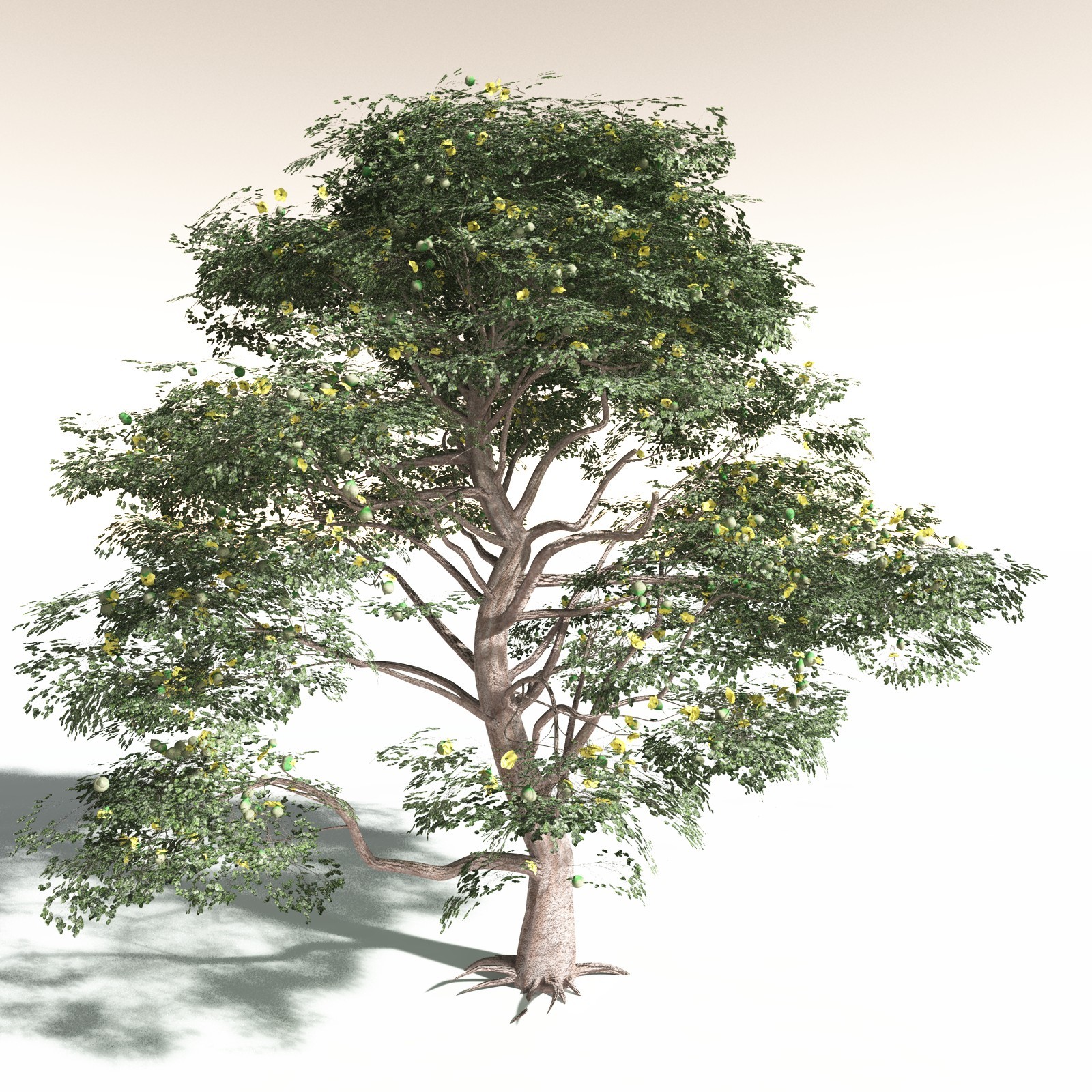 EVERYPlant Tropical Beach Biome for Daz by N/A