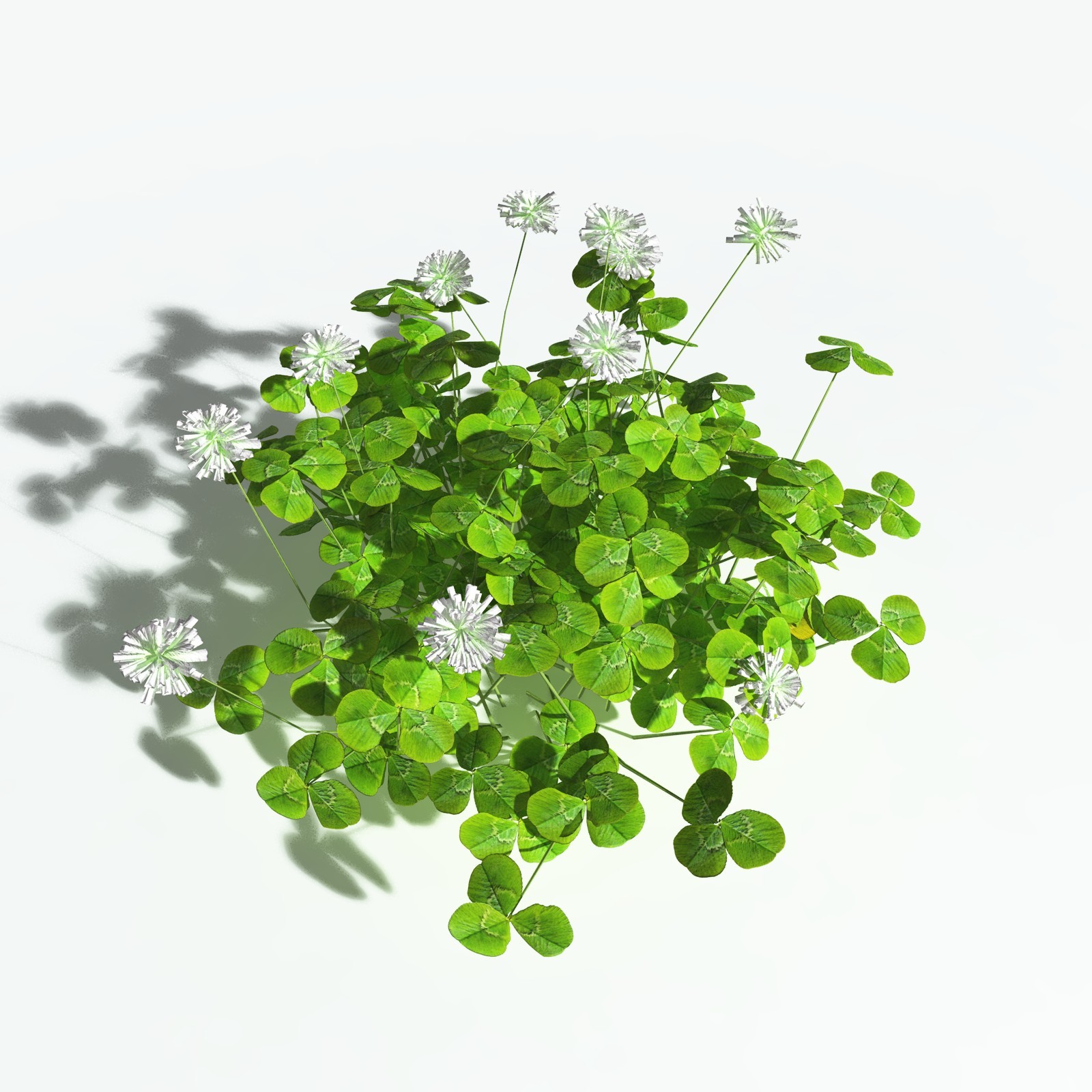 EVERYPlant White Clover for Vue by N/A