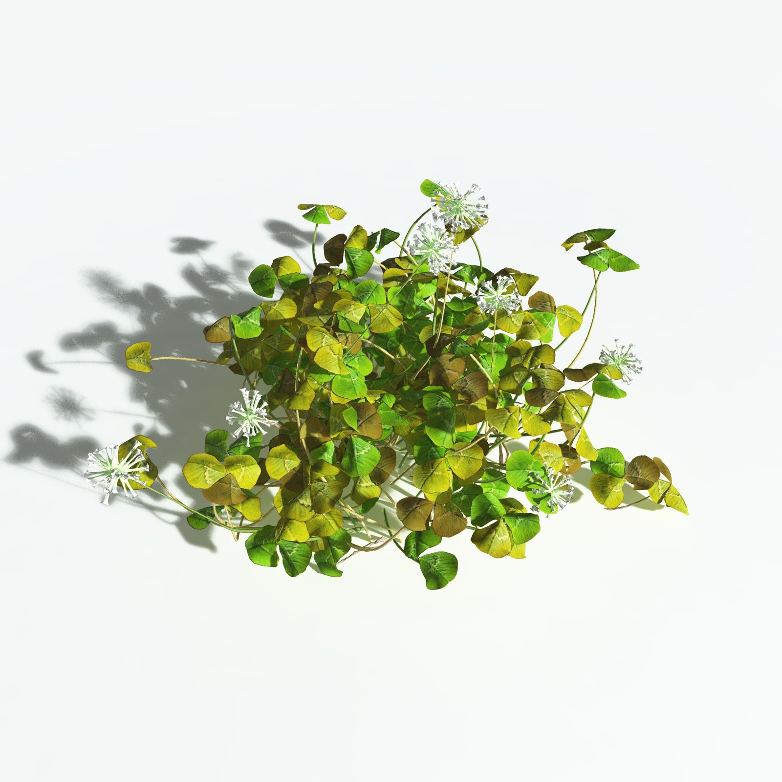 EVERYPlant White Clover for Vue by N/A