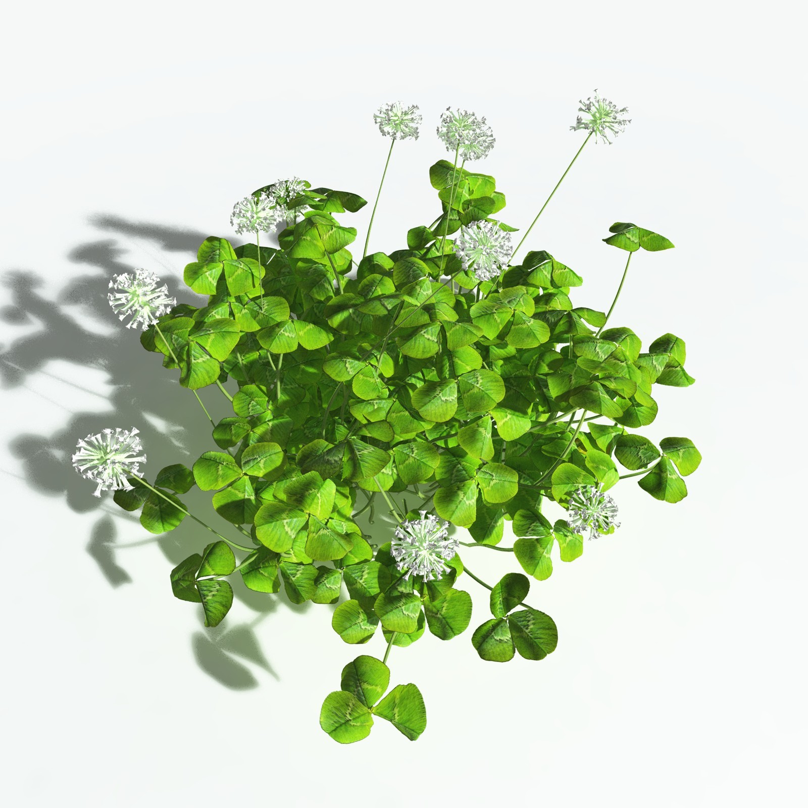 EVERYPlant White Clover for Vue by N/A