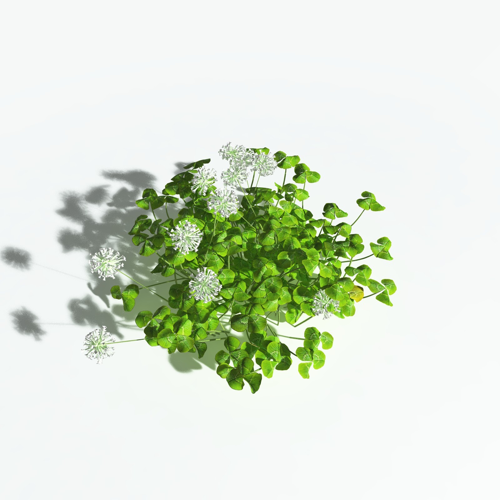 EVERYPlant White Clover for Vue by N/A