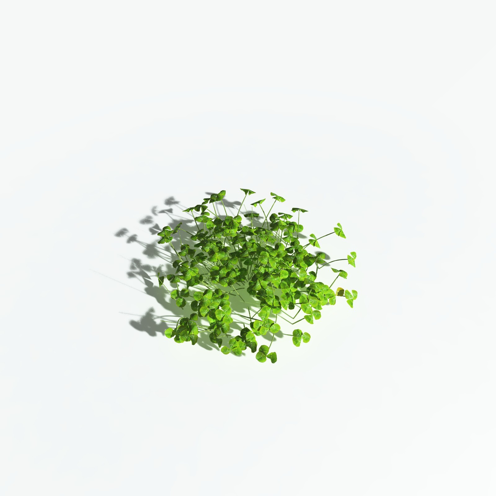 EVERYPlant White Clover for Vue by N/A