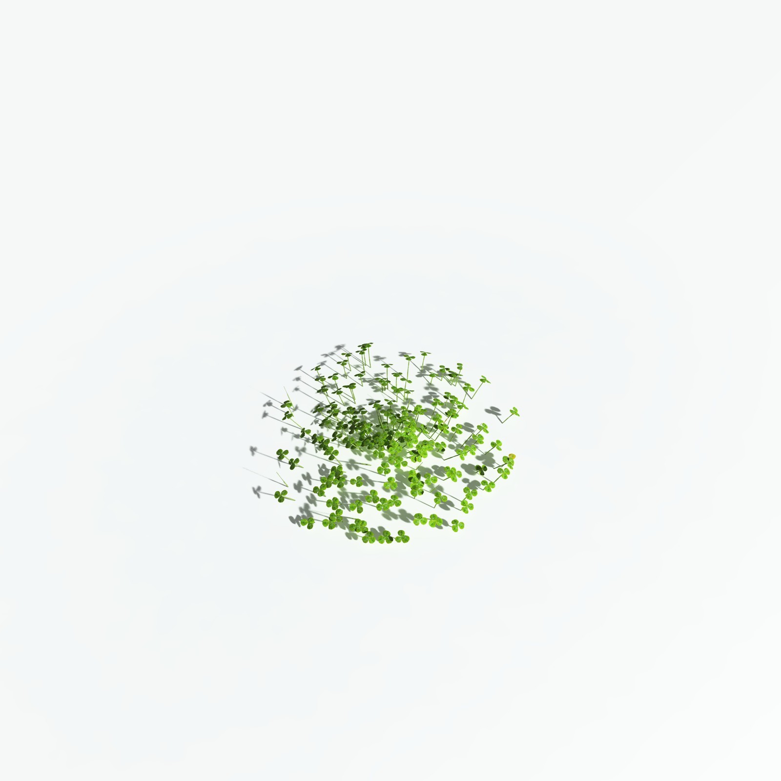 EVERYPlant White Clover for Vue by N/A