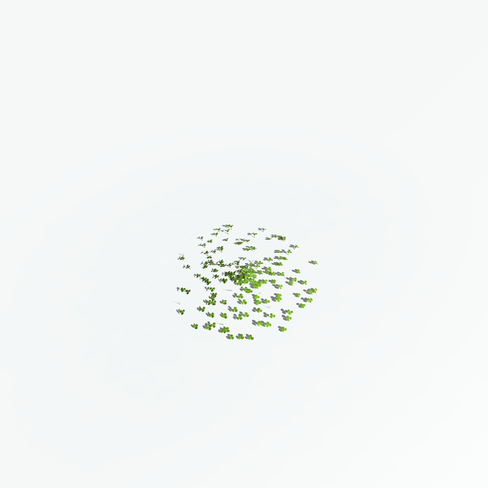 EVERYPlant White Clover for Vue by N/A