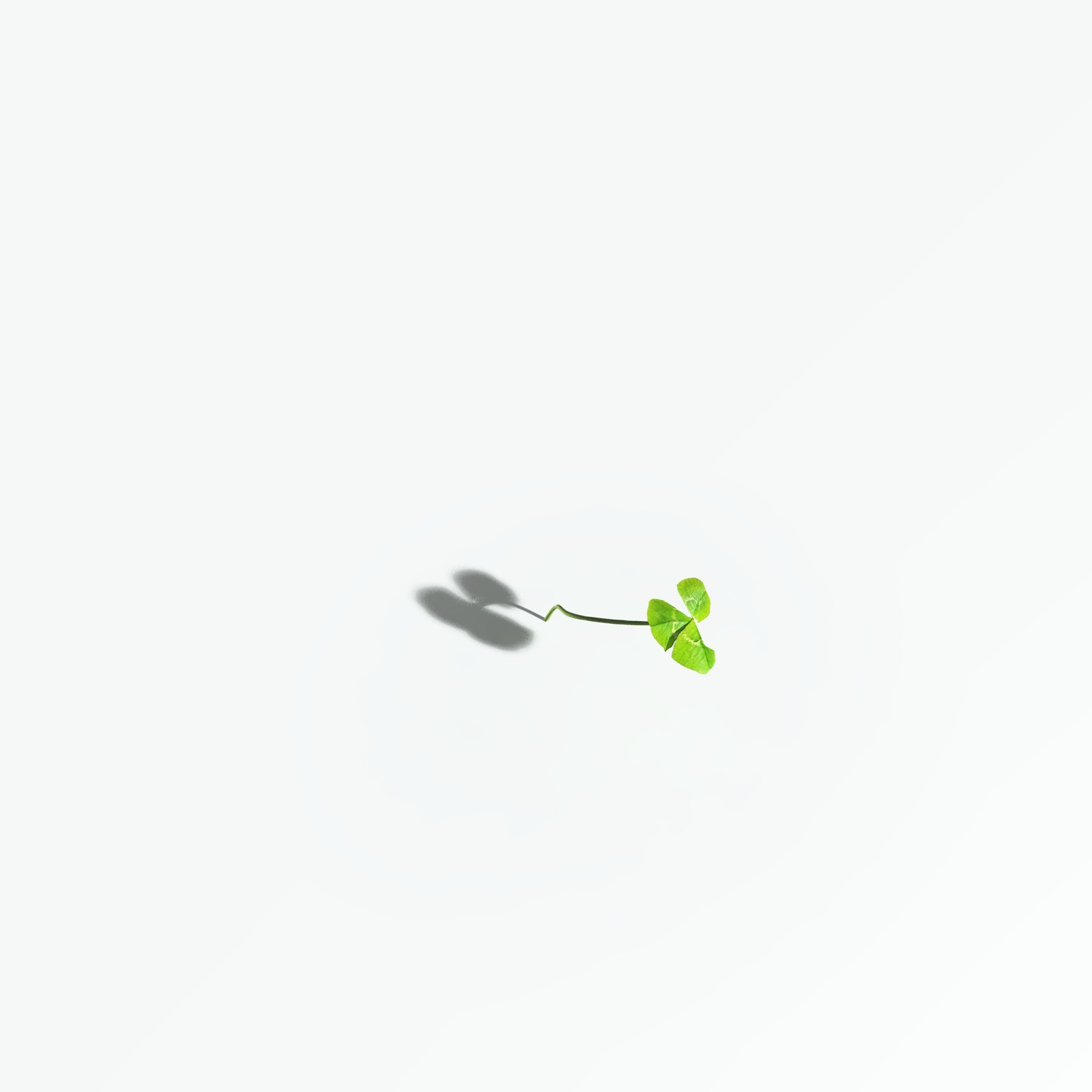 EVERYPlant White Clover for Vue by N/A