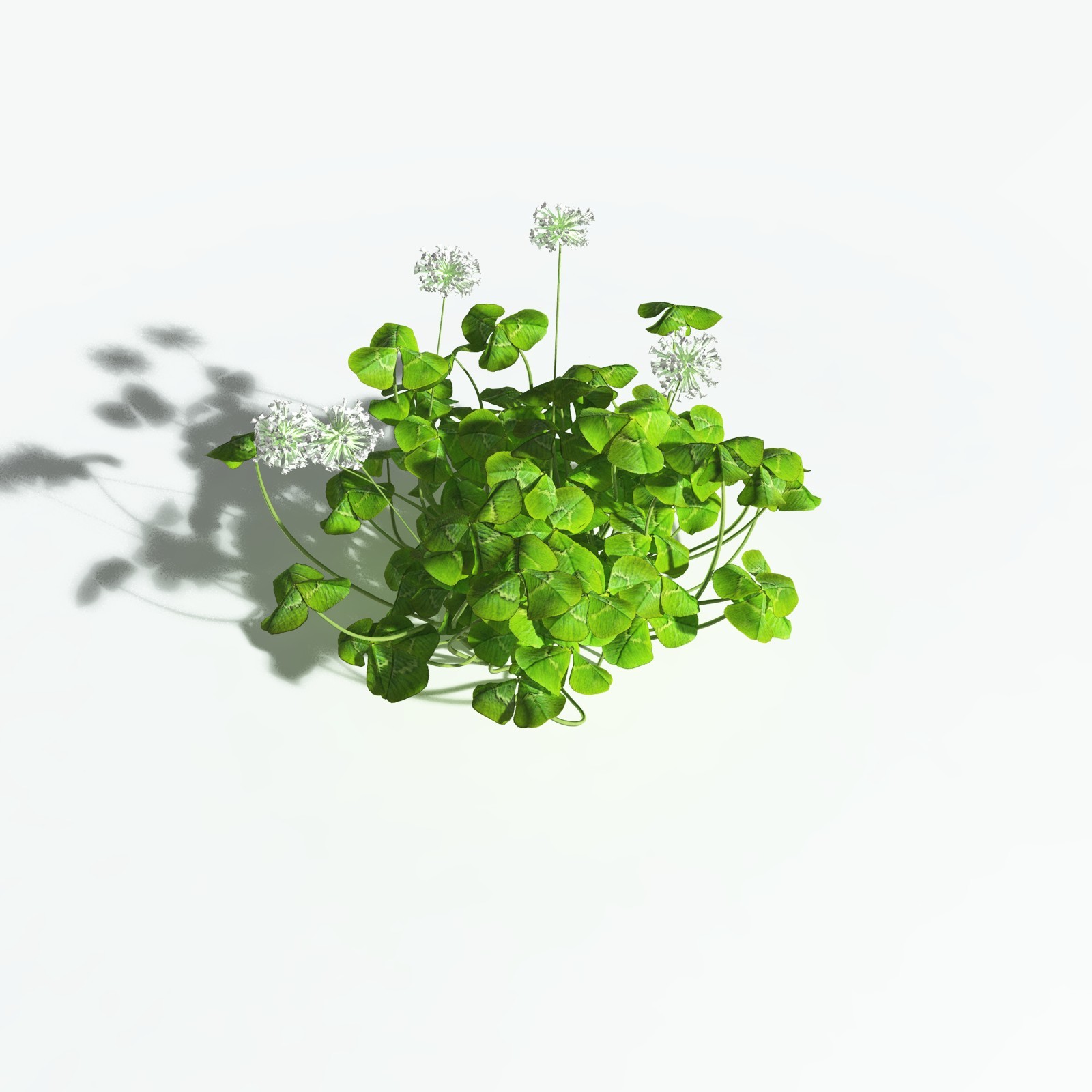EVERYPlant White Clover for Vue by N/A