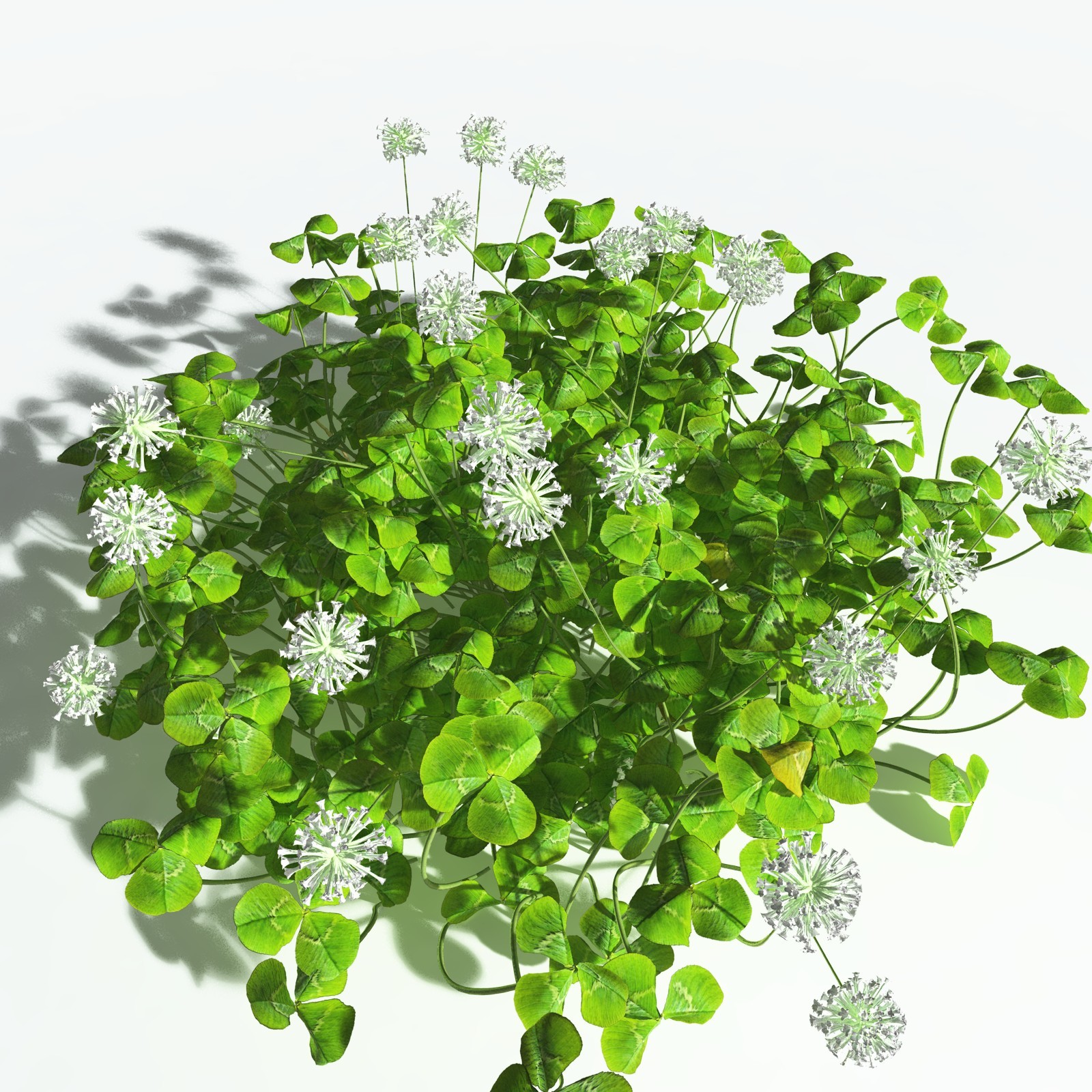 EVERYPlant White Clover for Vue by N/A