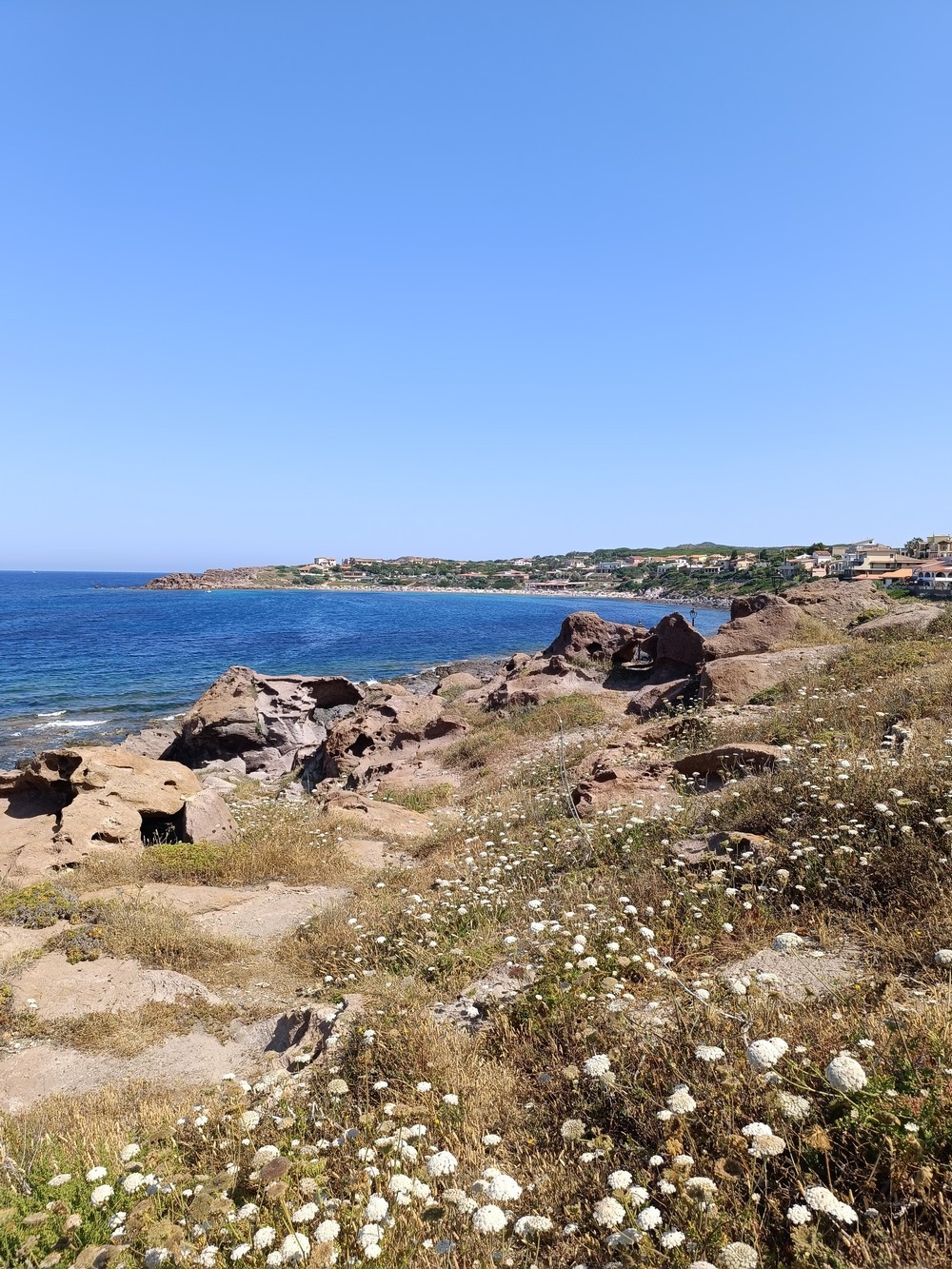 The coast and the rocks by N/A