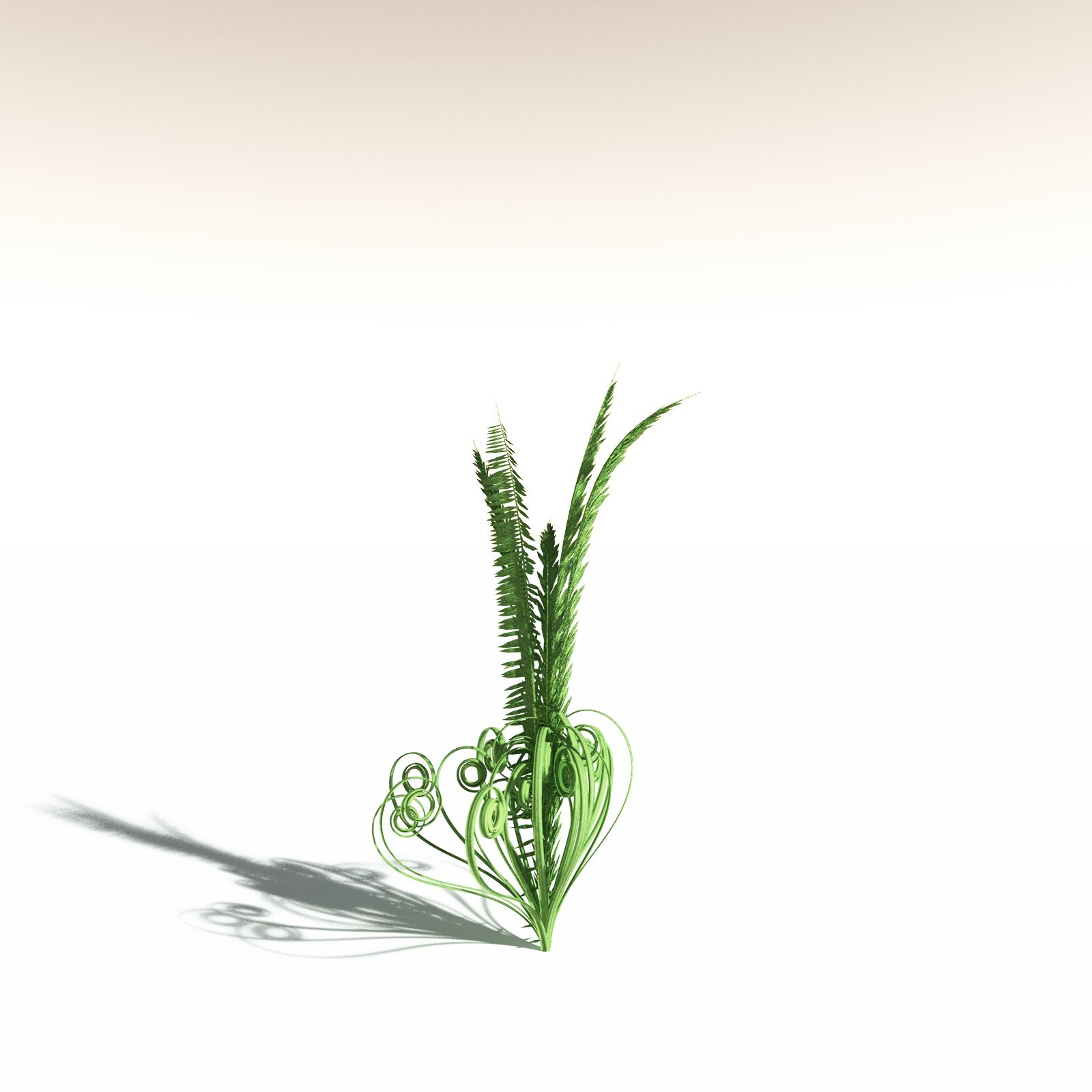 EVERYPlant Western Sword Fern for Daz by N/A