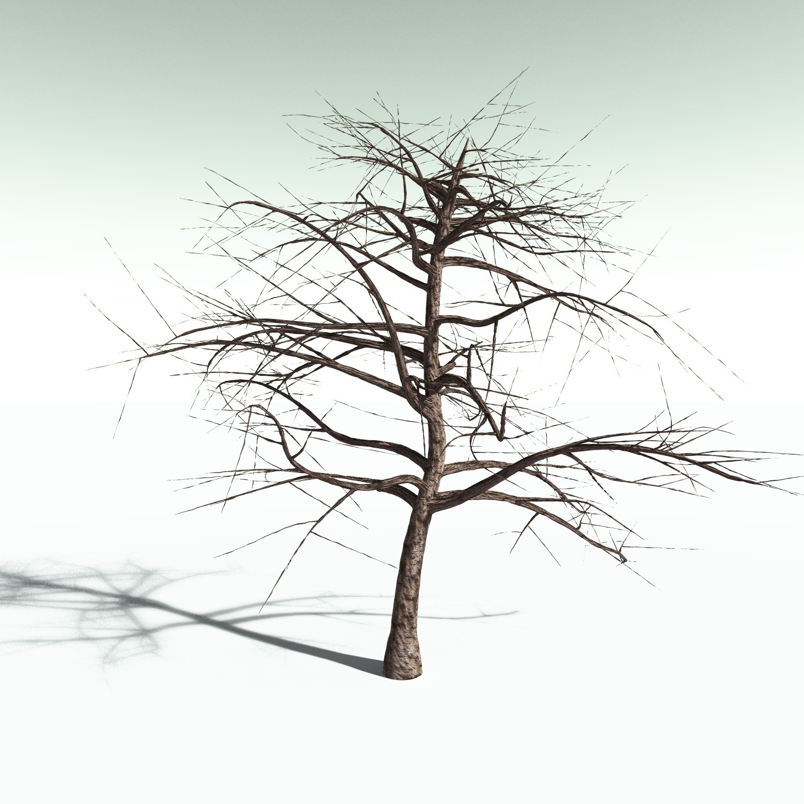 EVERYPlant Western Poison Oak for Poser by N/A