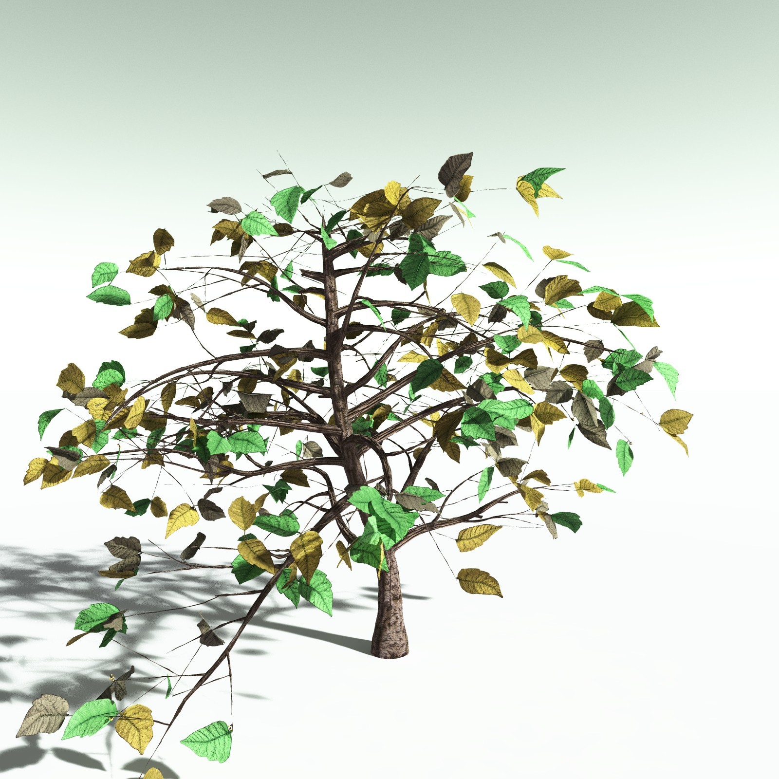 EVERYPlant Western Poison Oak for Poser by N/A