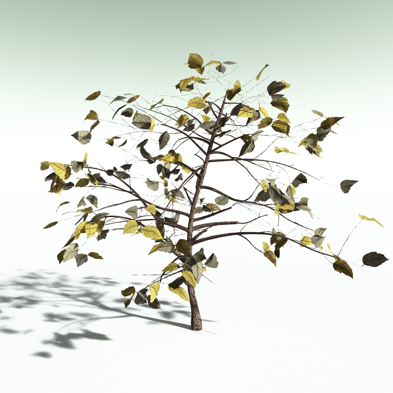EVERYPlant Western Poison Oak for Poser by N/A