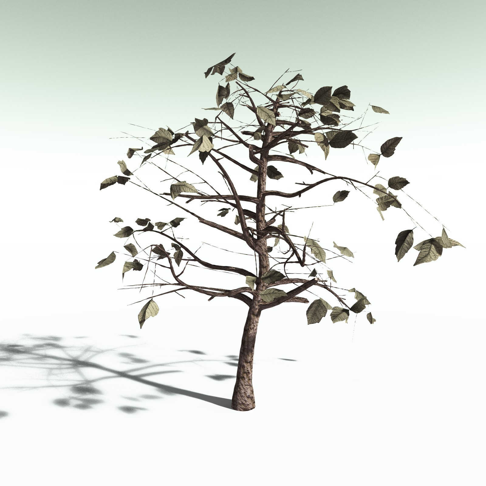 EVERYPlant Western Poison Oak for Poser by N/A